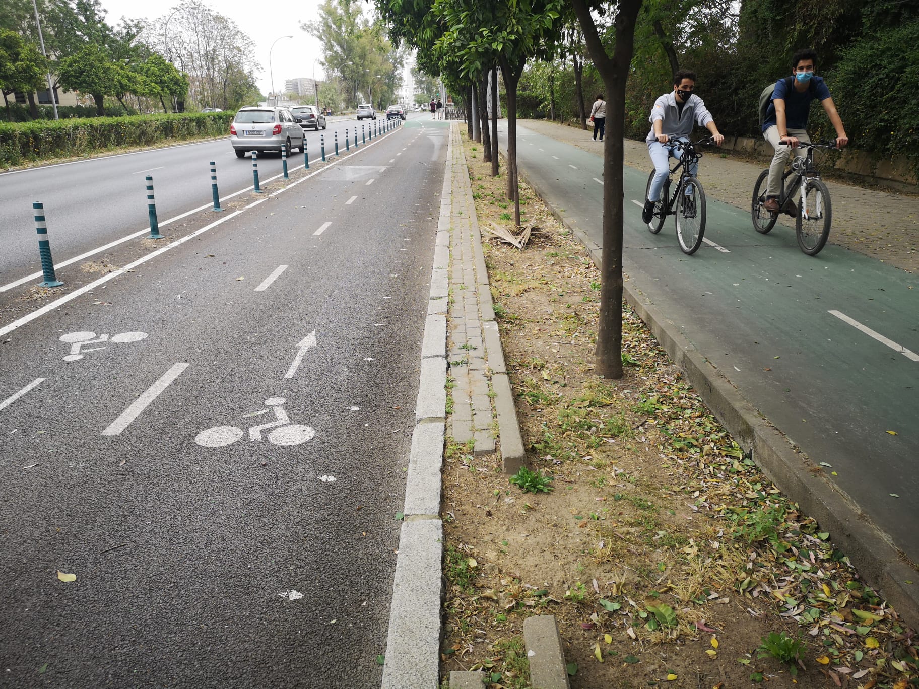Tramo de bicarril bici en la avenida de la Palmera de Sevilla. - Tramo de bicarril bici en la avenida de la Palmera de Sevilla.