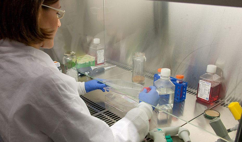 Un laboratorio del SAS. - Un laboratorio del SAS.