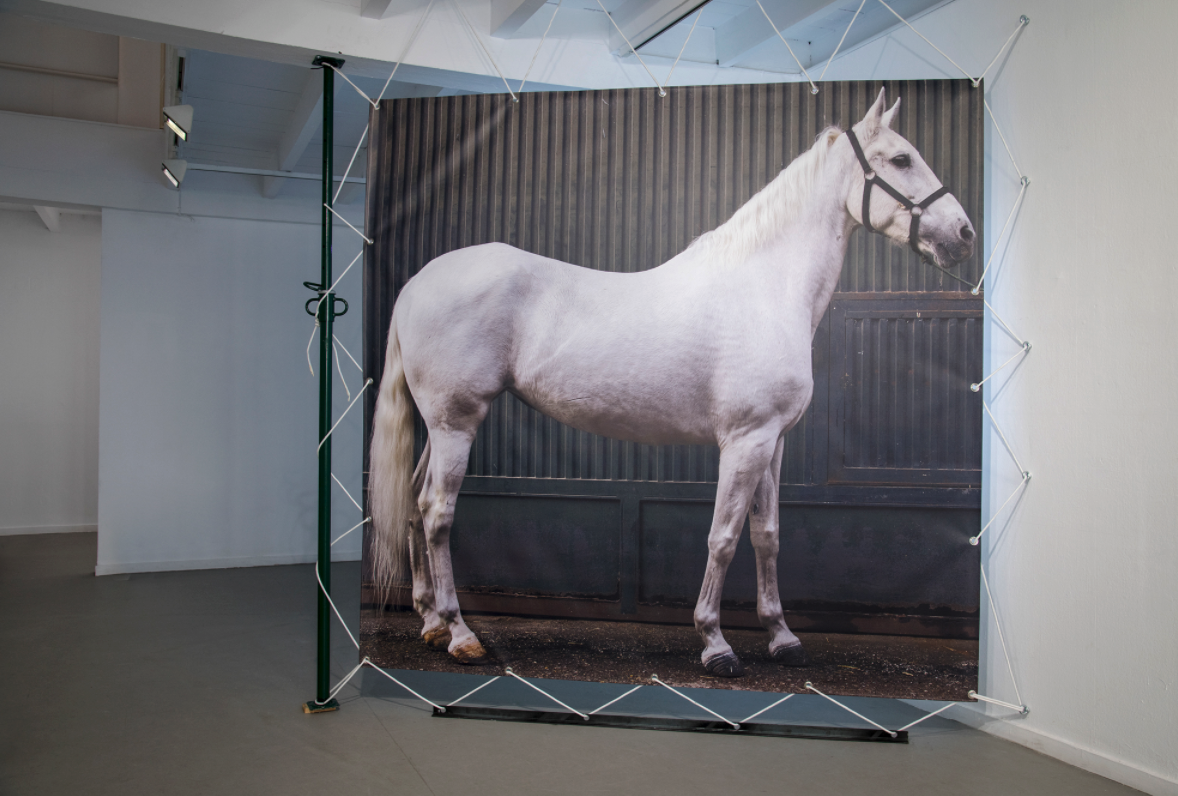 'La posada' y 'Los caballos', el nuevo proyecto de Pedro G. Romero. - 