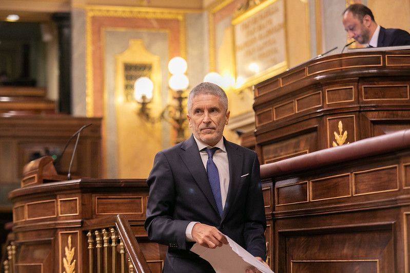 El ministro del Interior, Fernando Grande-Marlaska, en el Congreso. - El ministro del Interior, Fernando Grande-Marlaska, en el Congreso.