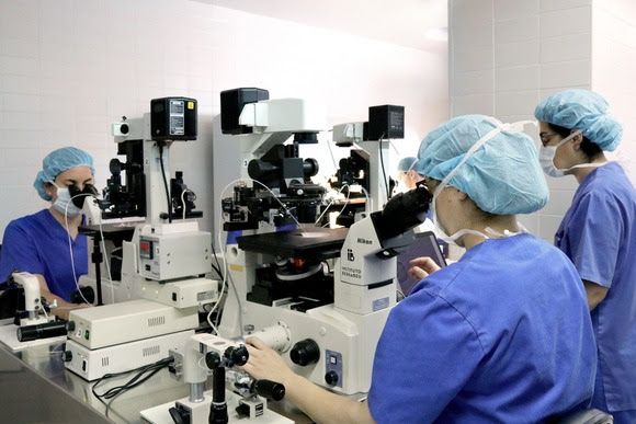 Andalucía impulsa ciencia: investigadores diseñan nanopartículas capaces de eliminar una bacteria infecciosa hospitalaria