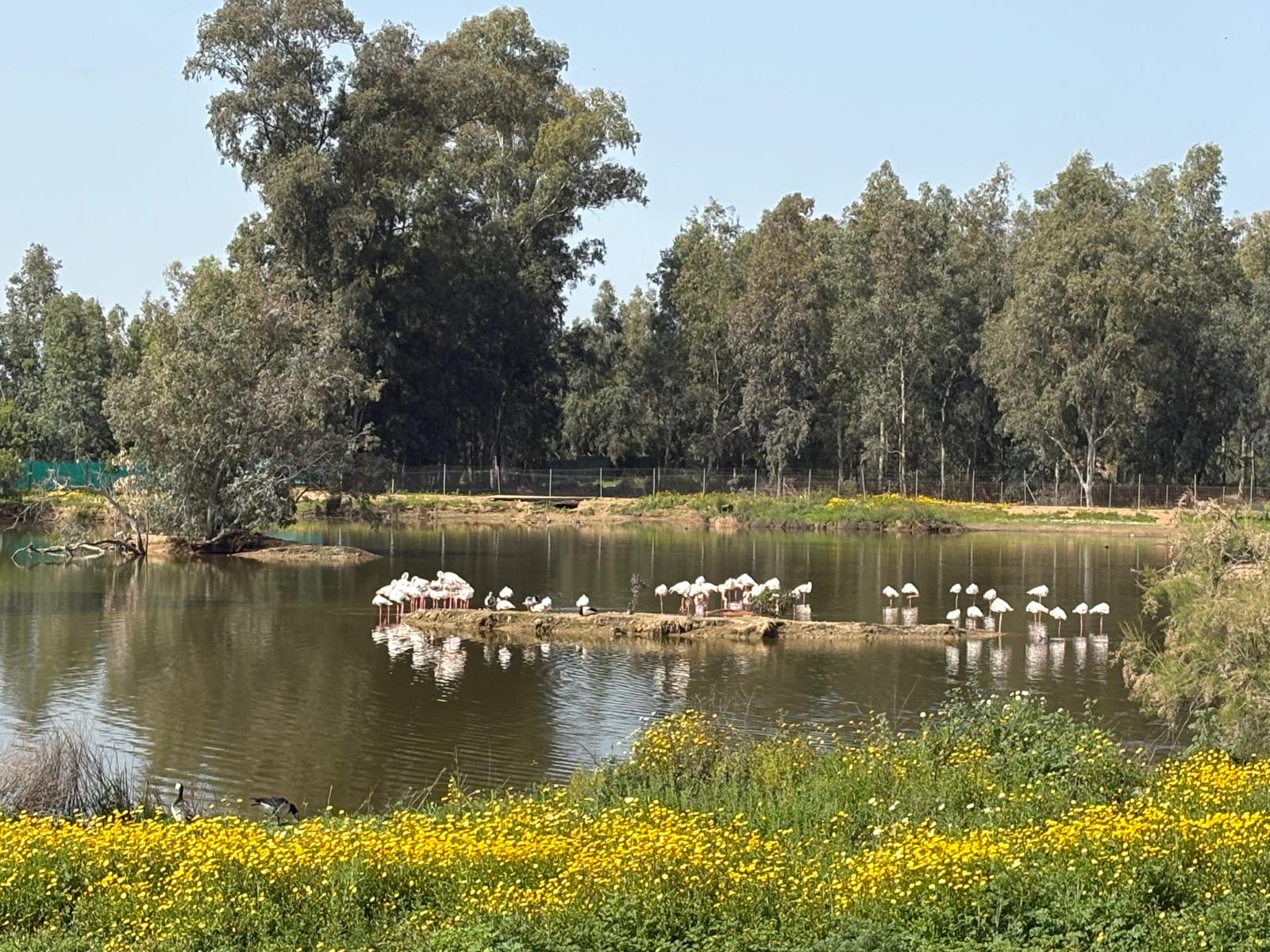 La Cañada de los Pájaros, en peligro crítico de extinción