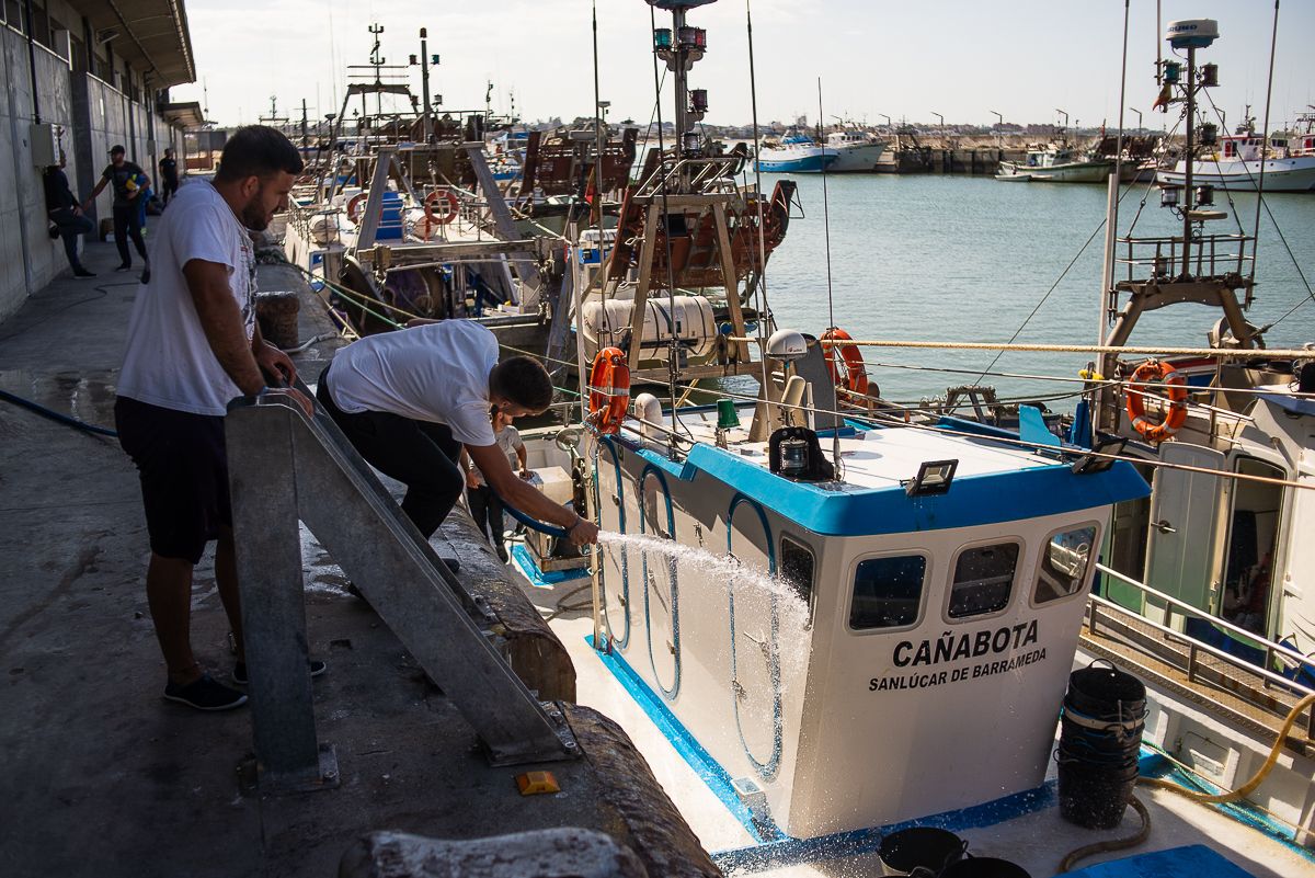 El grito desesperado de los pescadores de La Janda y el Campo de Gibraltar: cuotas congeladas y situación límite