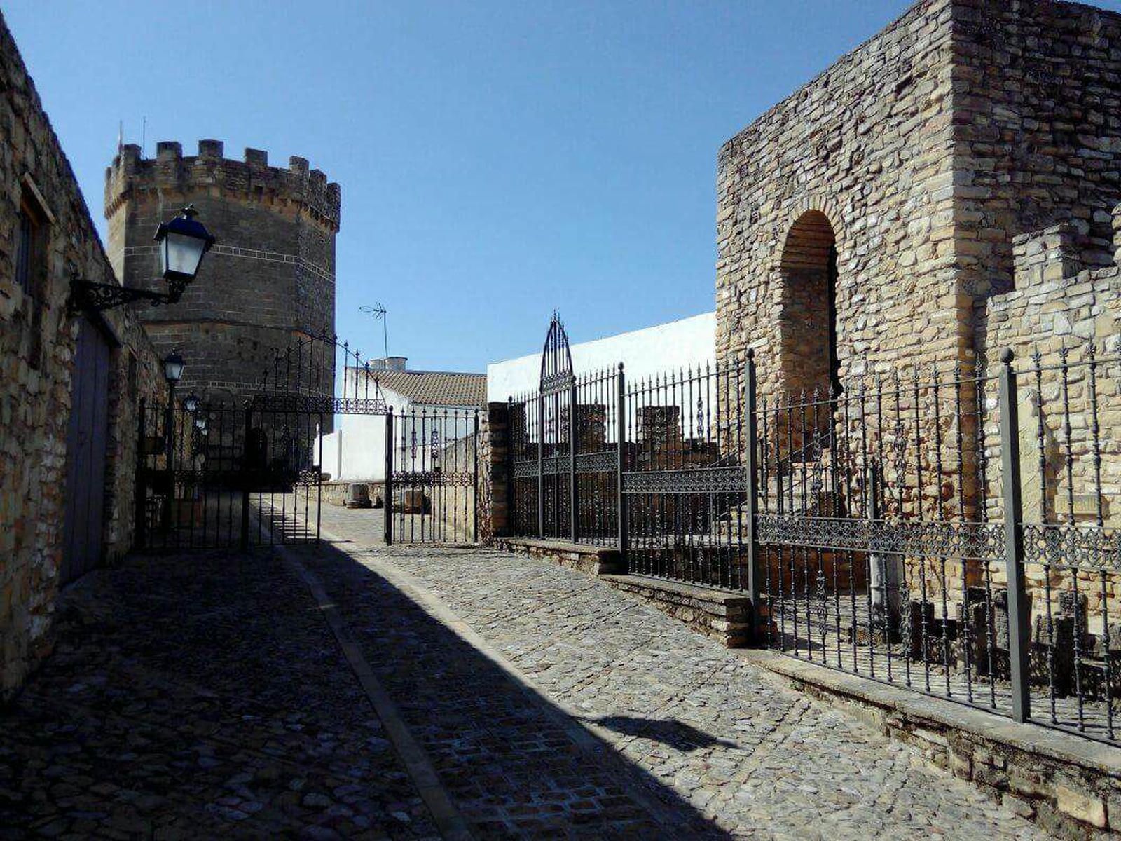 Muere un anciano al quedar atrapado en una máquina picadora en Jaén, en una finca entre Porcuna y Martos