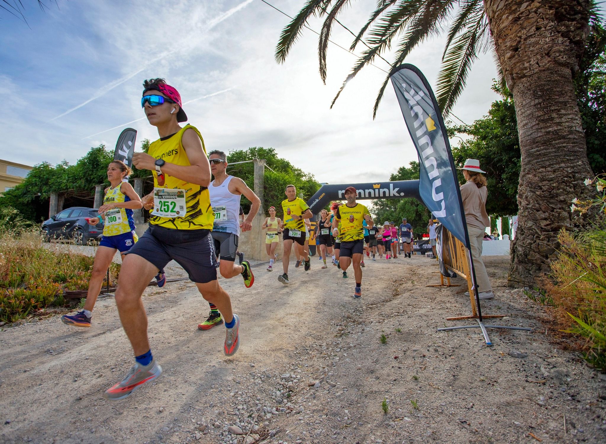 Una carrera y una marcha solidaria entre los viñedos de Jerez: todo sobre la nueva Tío Pepe Running