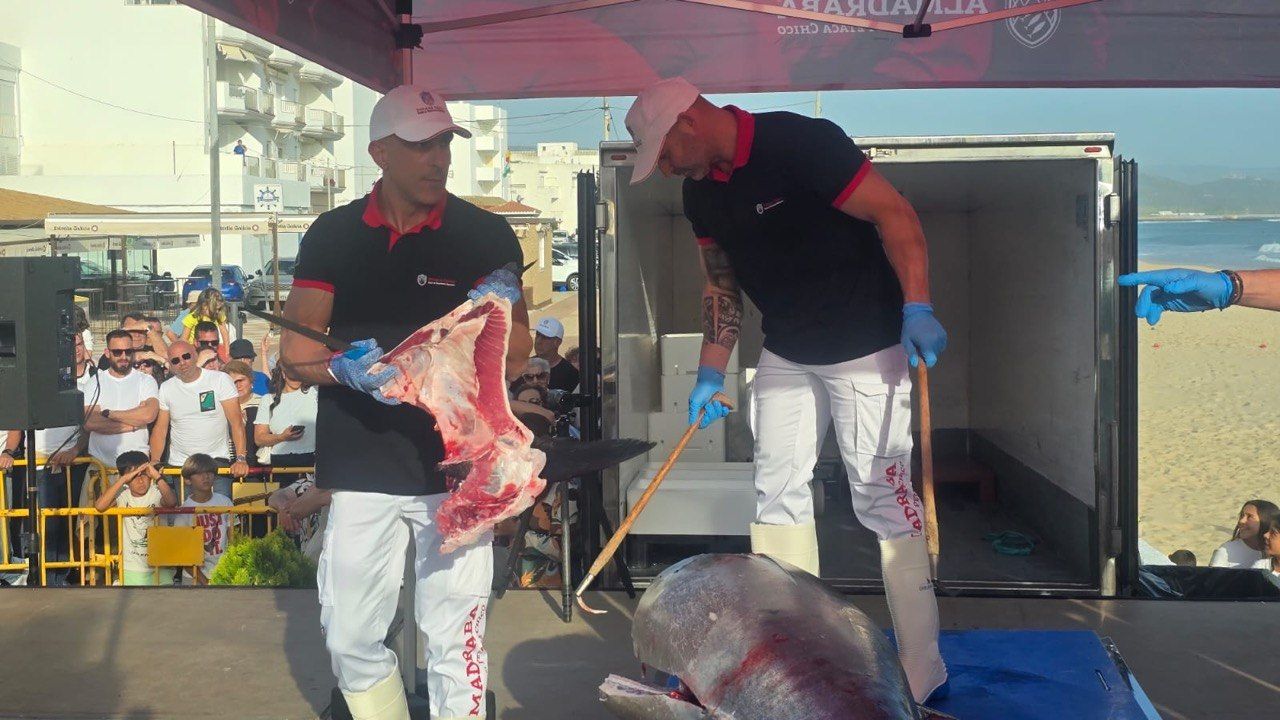 Despega la XVIII Semana Gastronómica del Atún en Barbate: ronqueo y un vídeo para abrir boca con 45 tapas