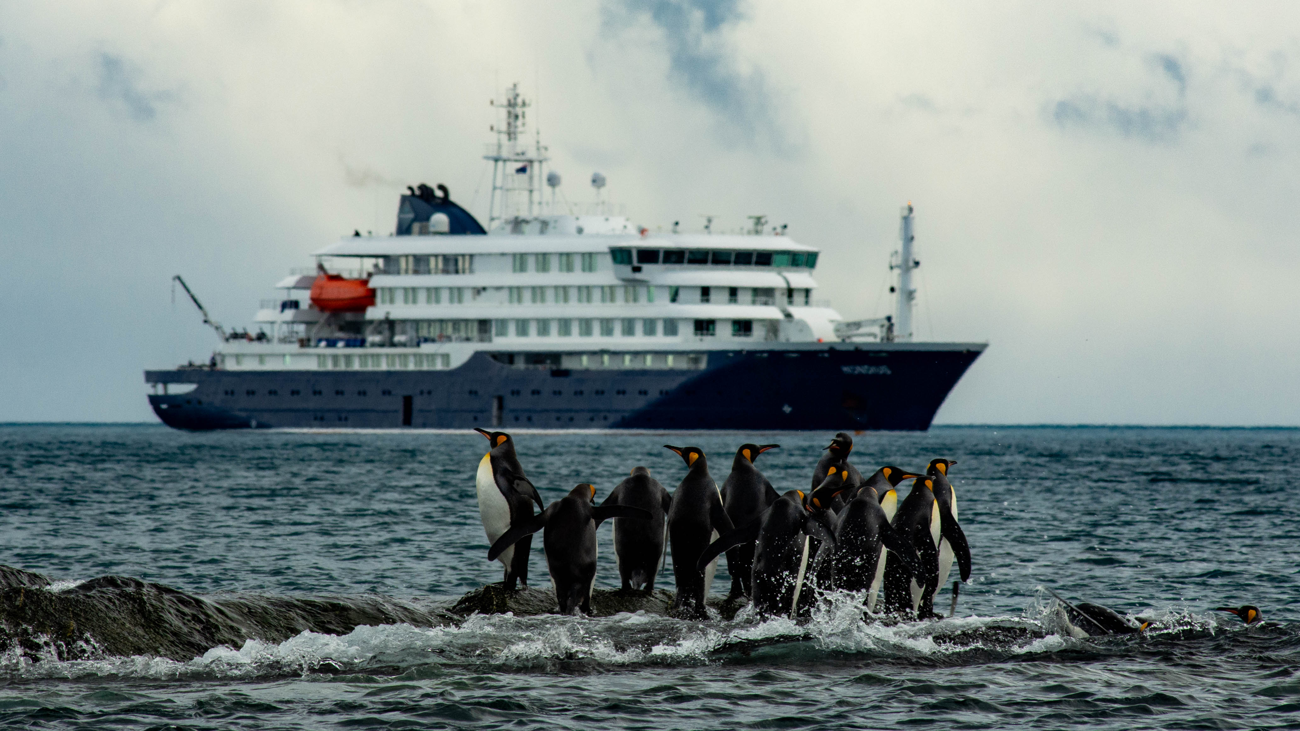 La OMS quiere que el crucero con un brote de hantavirus atraque en Canarias: España asegura que no ha tomado una decisión