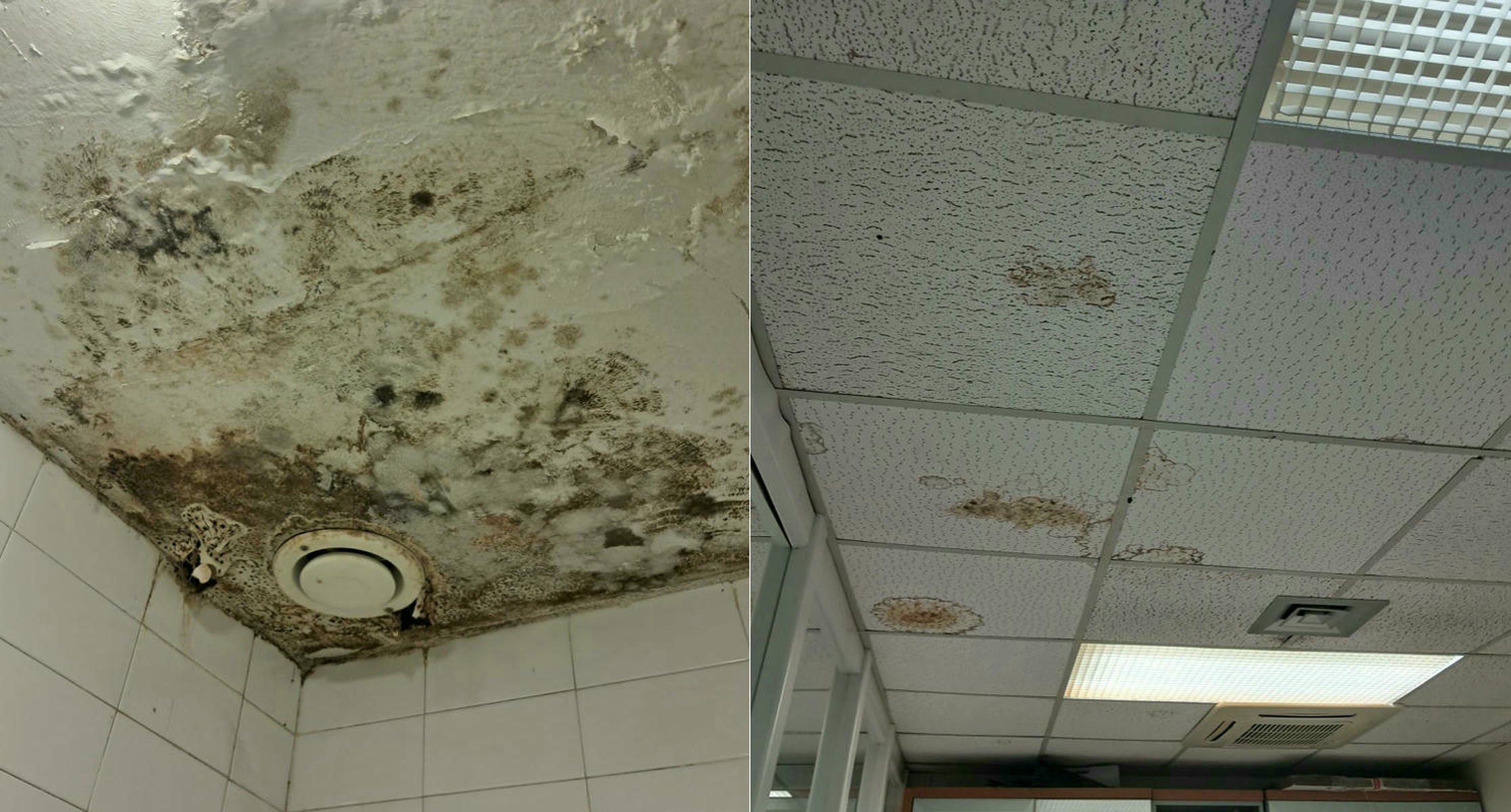 Goteras, moho y sanitarios 'apretados' en la Farmacia del Hospital de Puerto Real: 