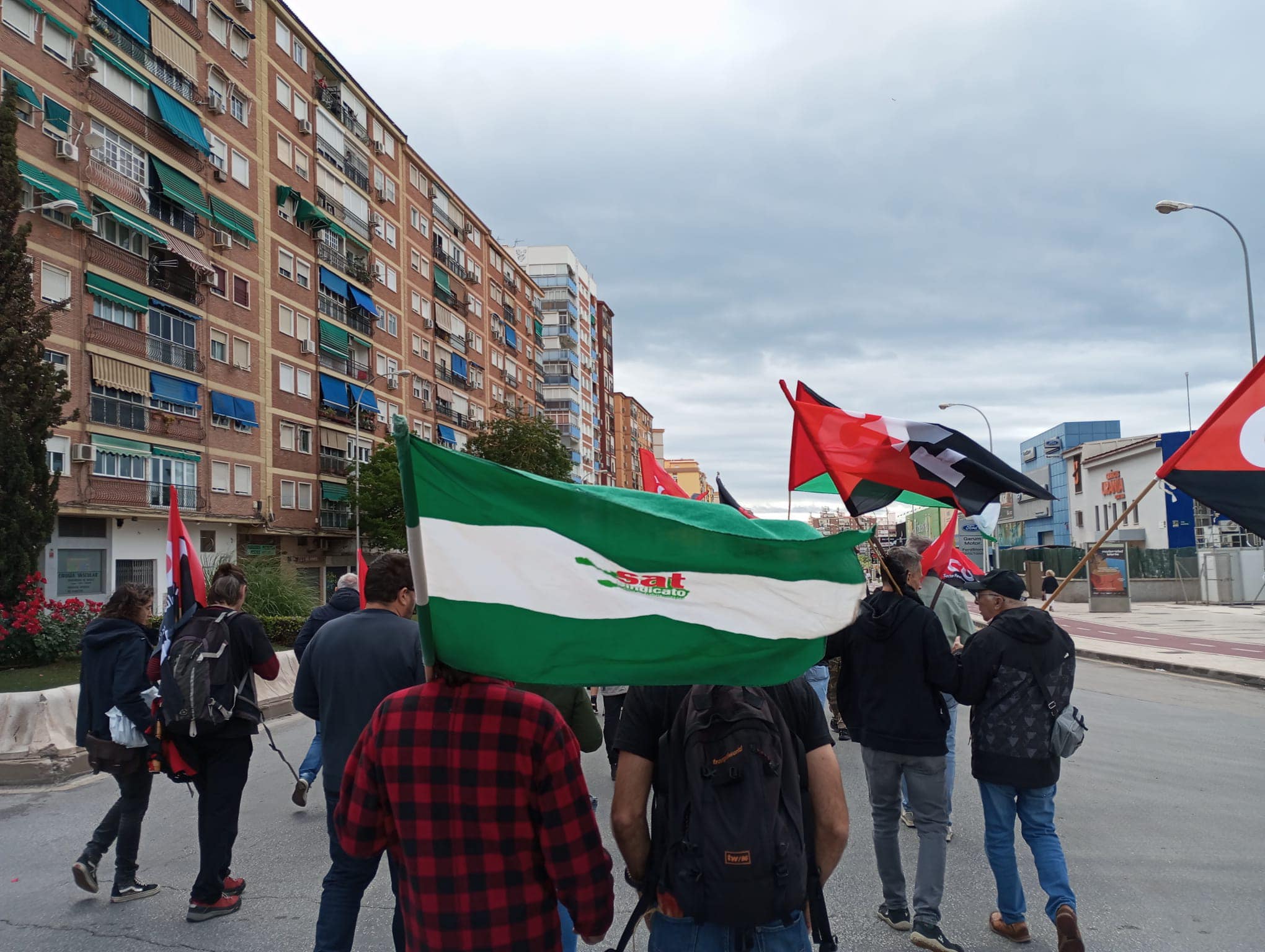El juez envía a prisión al detenido por una plantación de marihuana en una finca del SAT en El Bosque