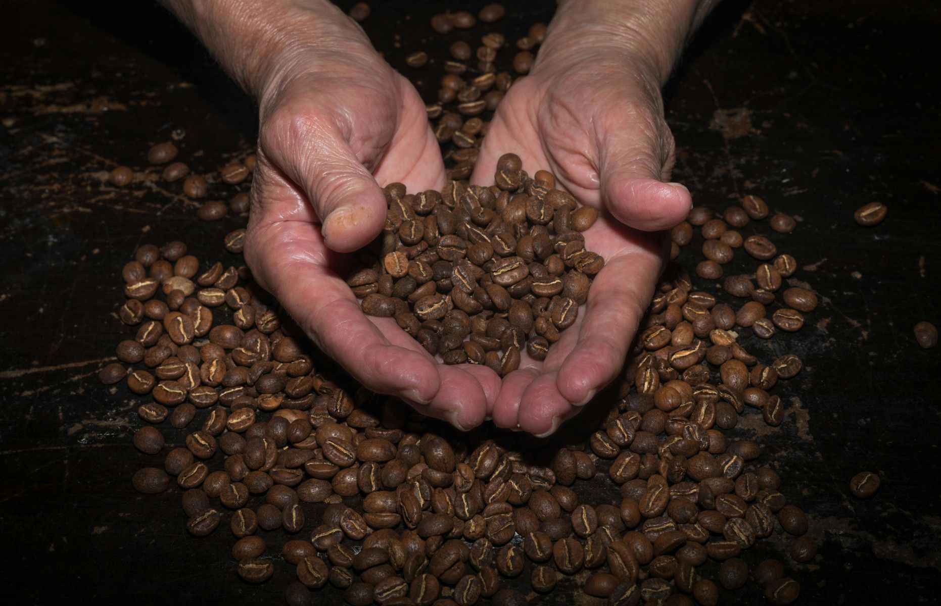 Café y poesía