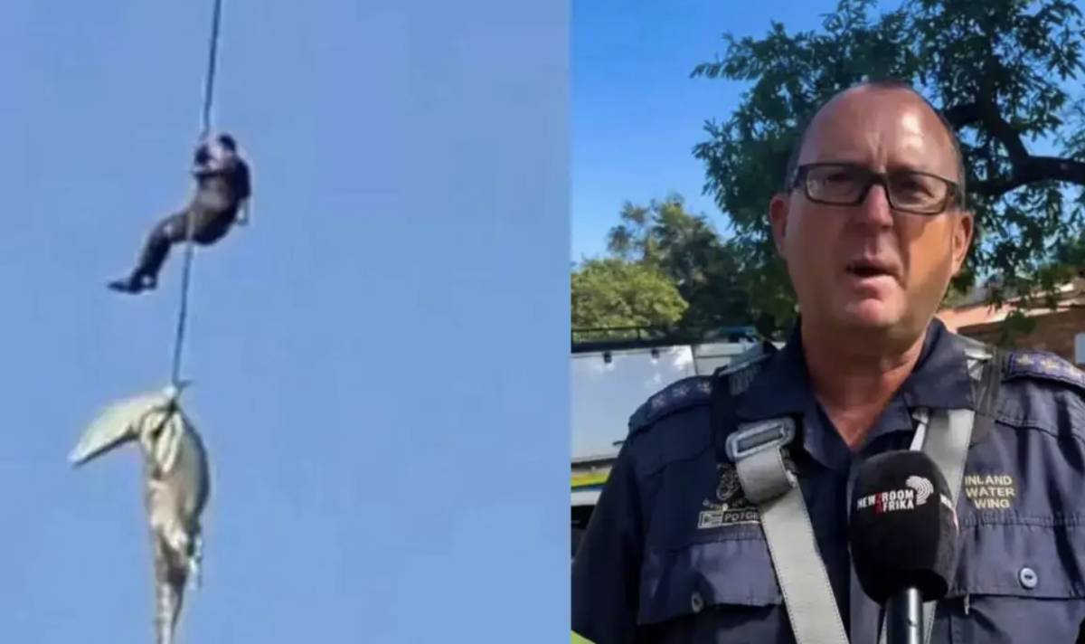 El policía Johan Potgieter y un momento del rescate con el cocodrilo.