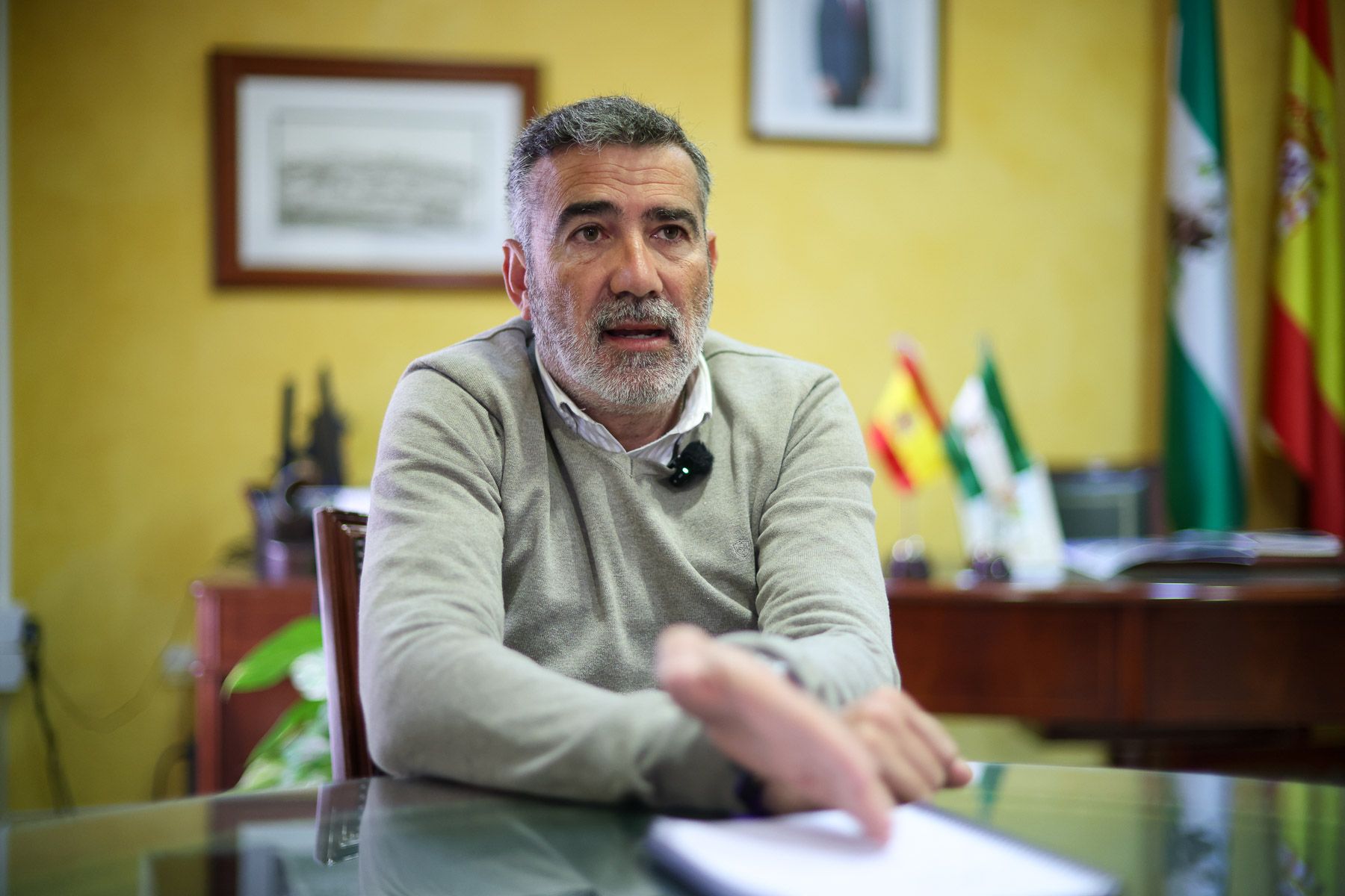 Javier Pizarro, alcalde de Alcalá de los Gazules y portavoz del PSOE en Diputación de Cádiz. - JUAN CARLOS TORO