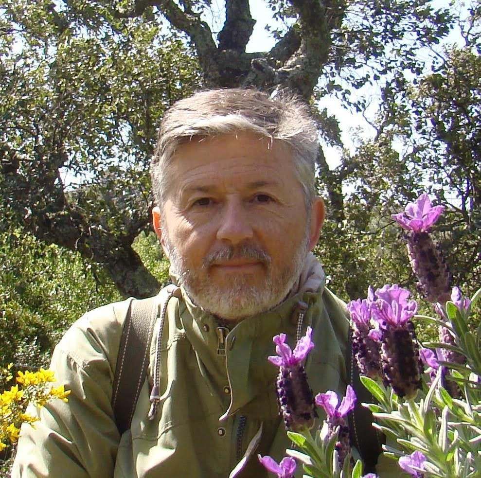 Fco. Javier Márquez Tenedor