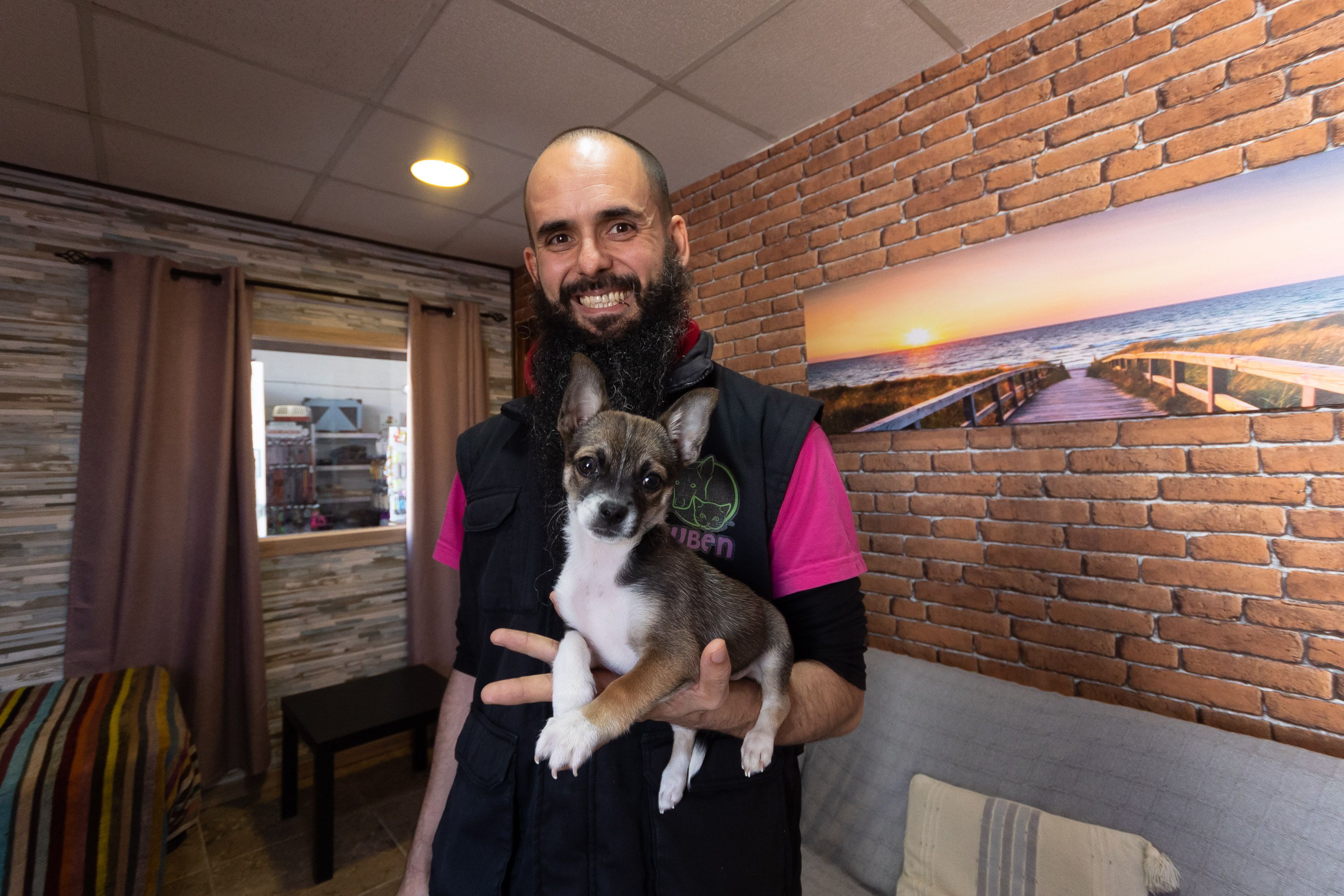 El chihuahua forma parte de los programas educativos de Damkotas.