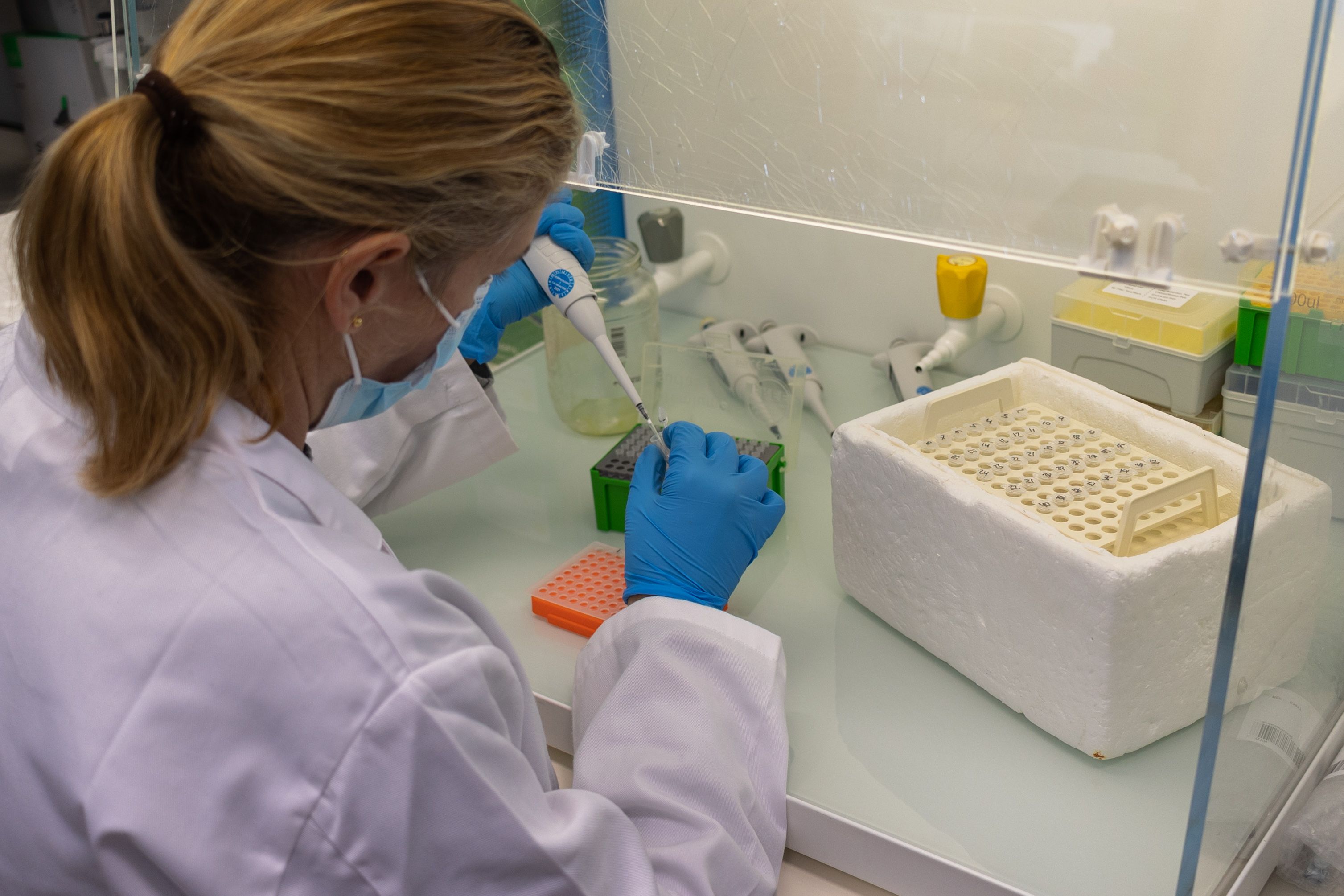 Una científica trabaja en el laboratorio. 