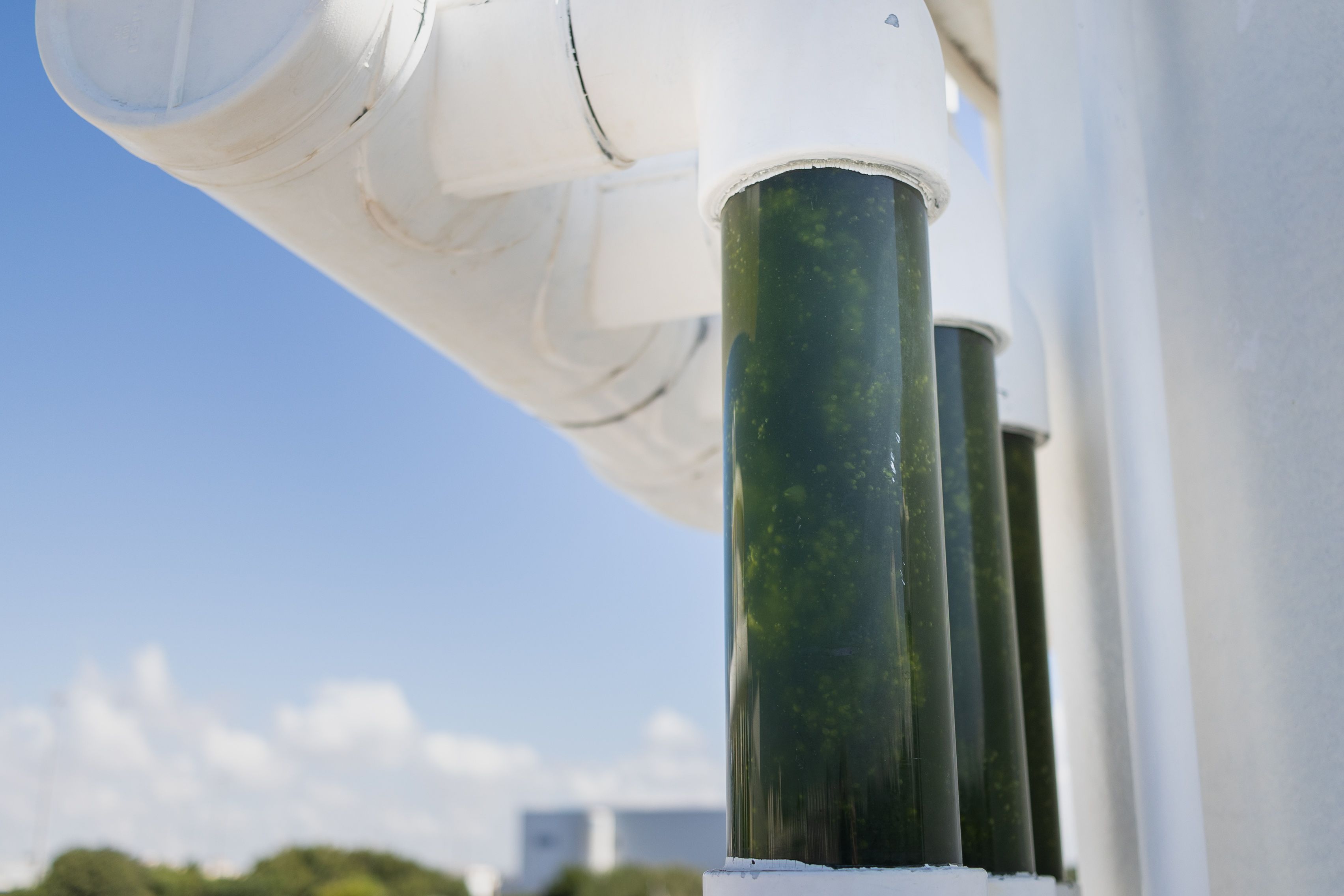 Agua verde con densidad.