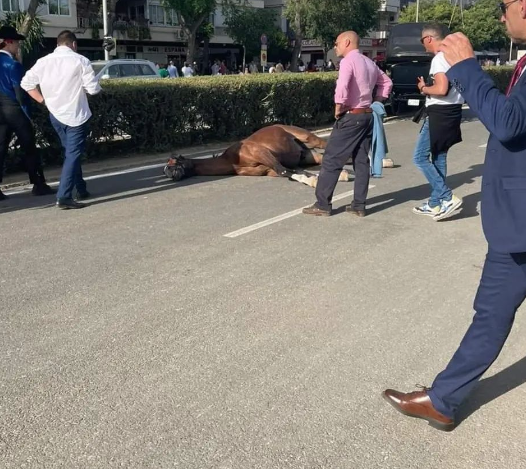 Un caballo fallecido en la Feria de Abril de Sevilla.