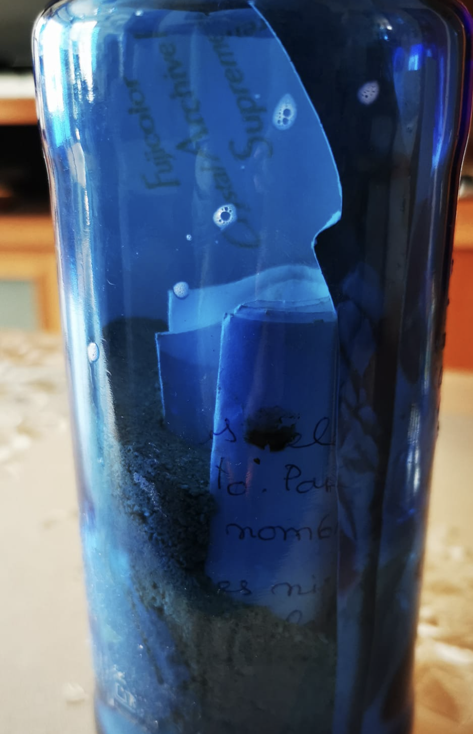 Botella encontrada en Valdelagrana.