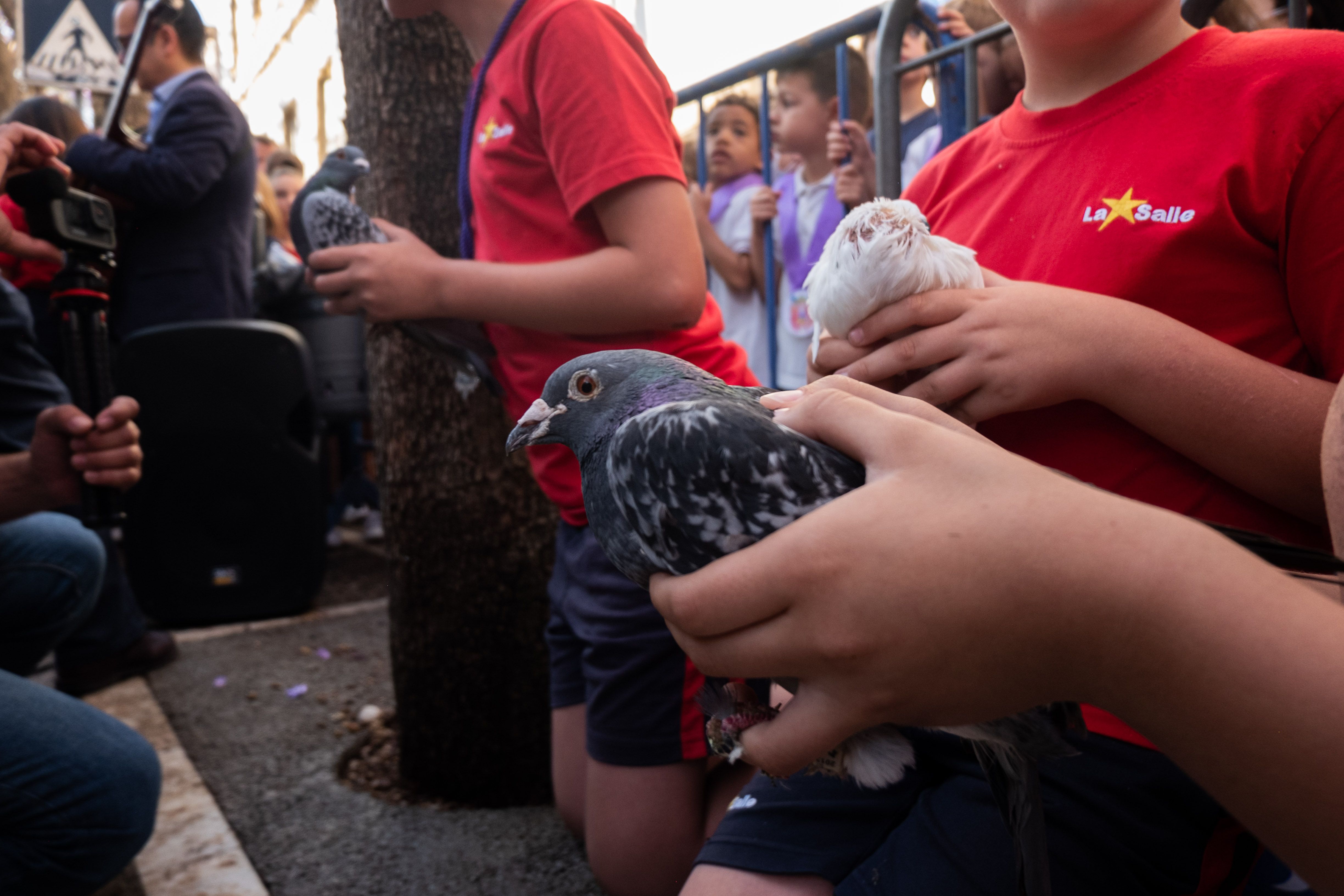 Palomas en las manos d alumnos de la Escuela de San José que como cada año esperaron a la comitiva para rendir su homenaje a los rocieros.    CANDELA NÚÑEZ