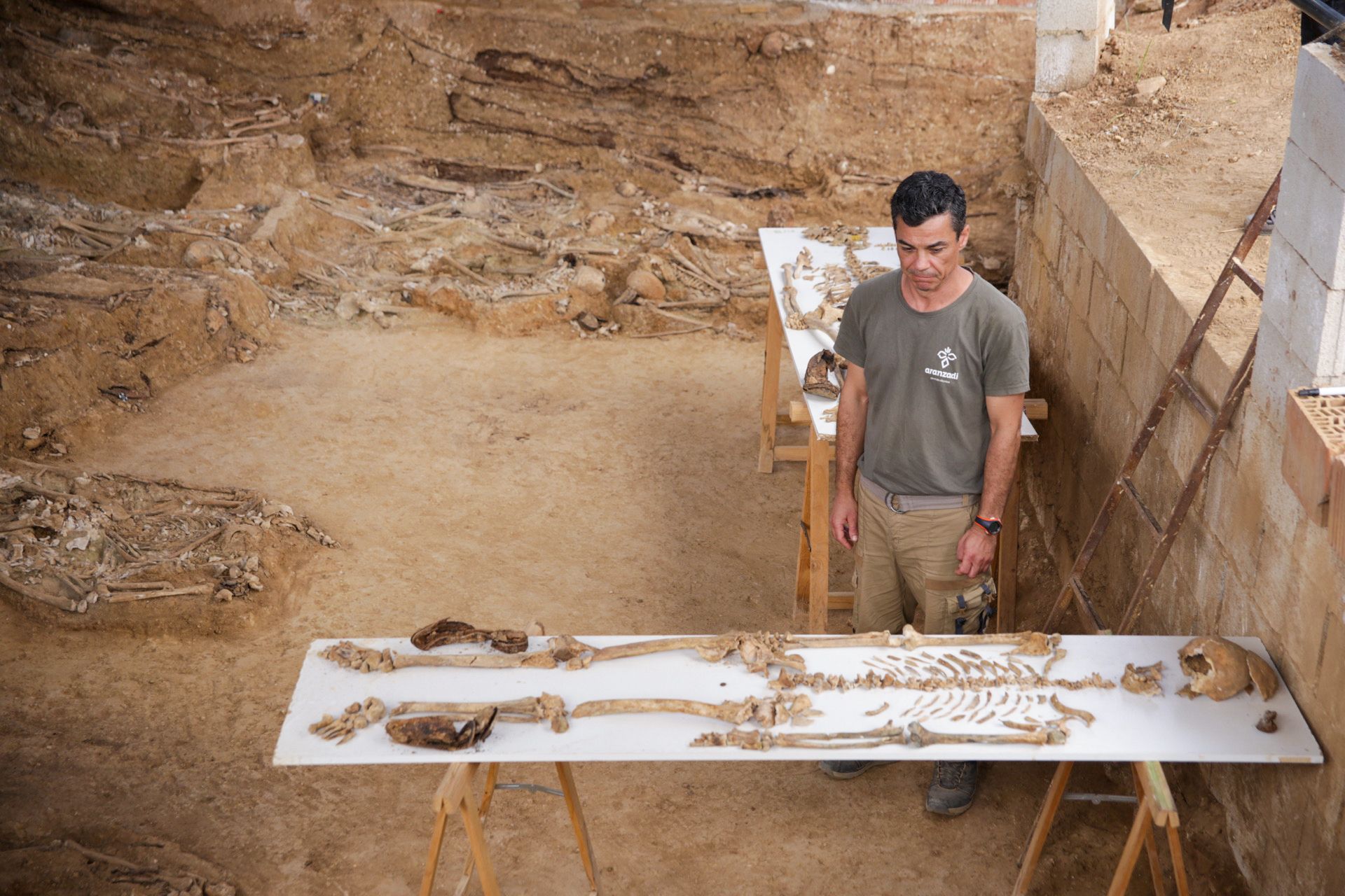 Restos encontrados en la fosa de Pico Reja en Sevilla tras trabajos de Memoria Democrática.