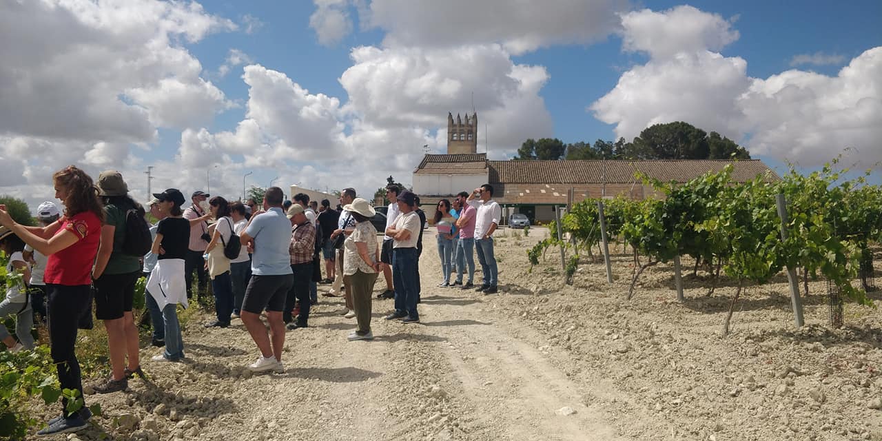 El CEHJ organizó dos salidas para conocer las torres de la campiña de Jerez