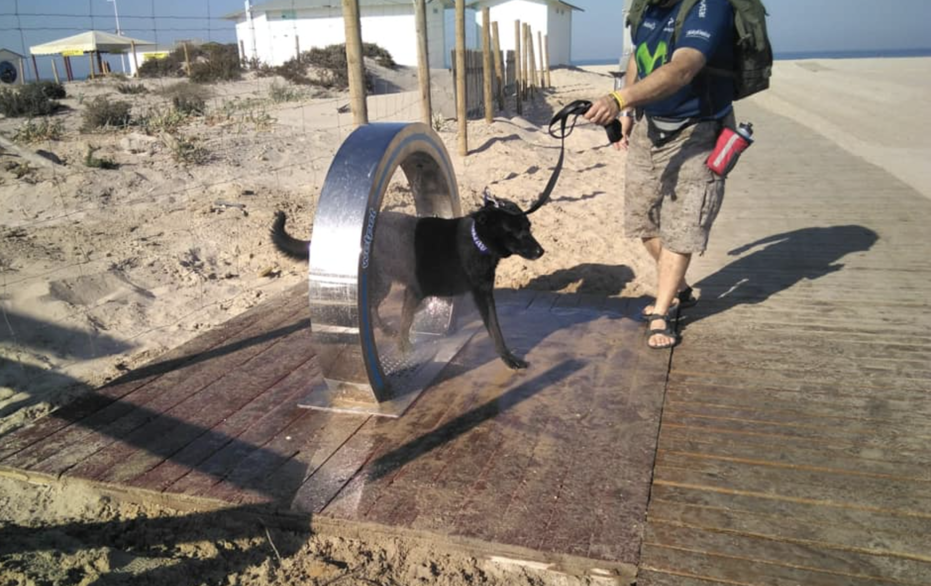 Un perro se refresca en una ducha de la playa de Camposoto, en San Fernando.