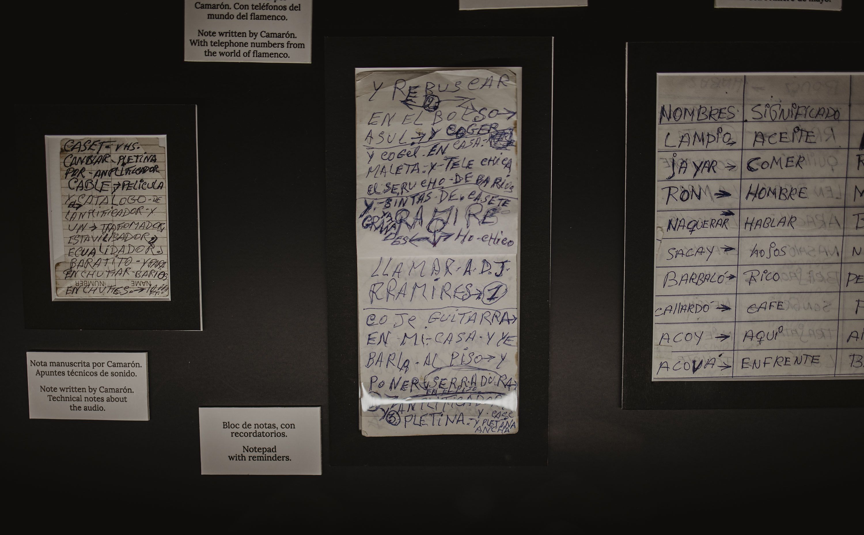 museo camaron 10
