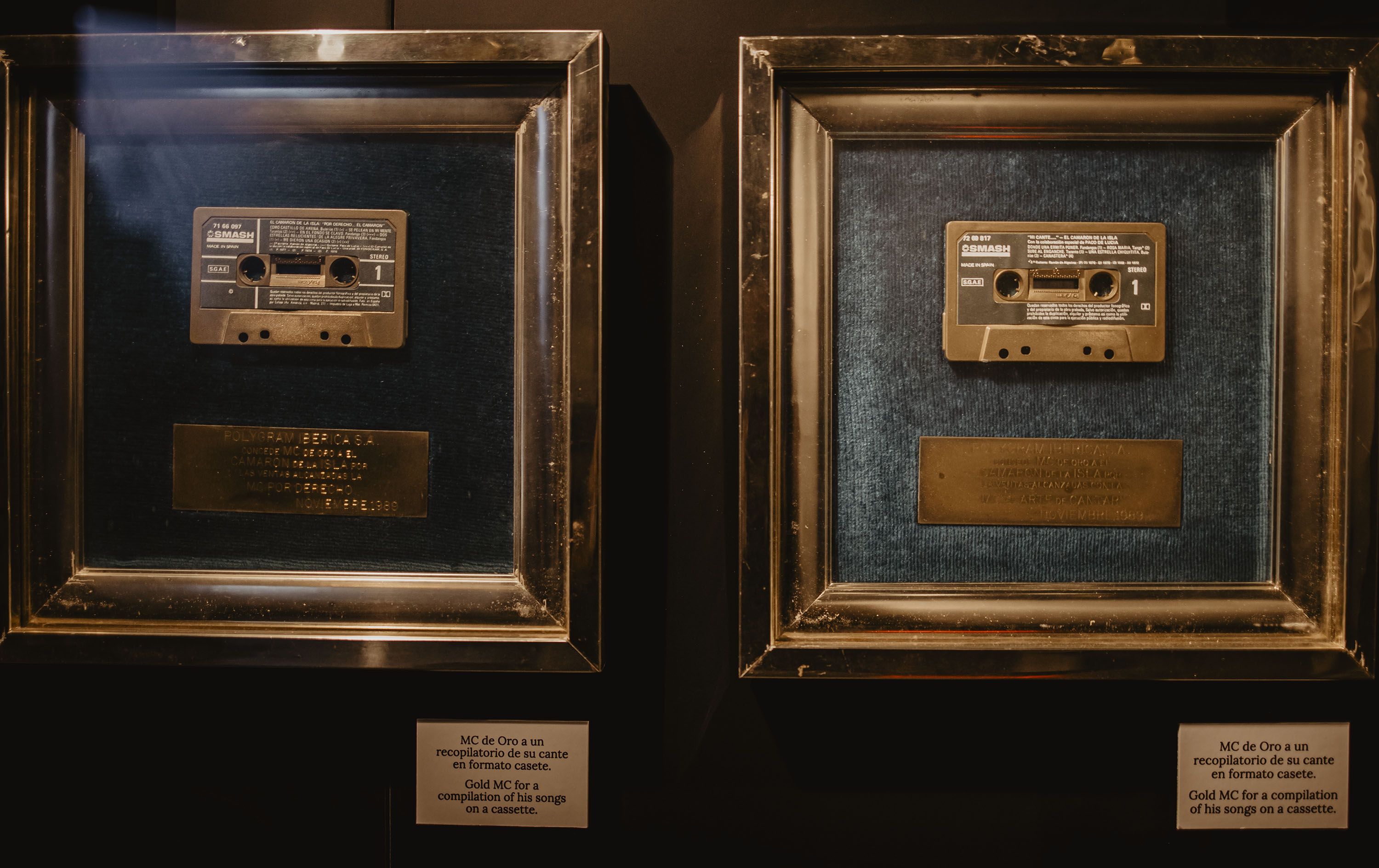 museo camaron 19
