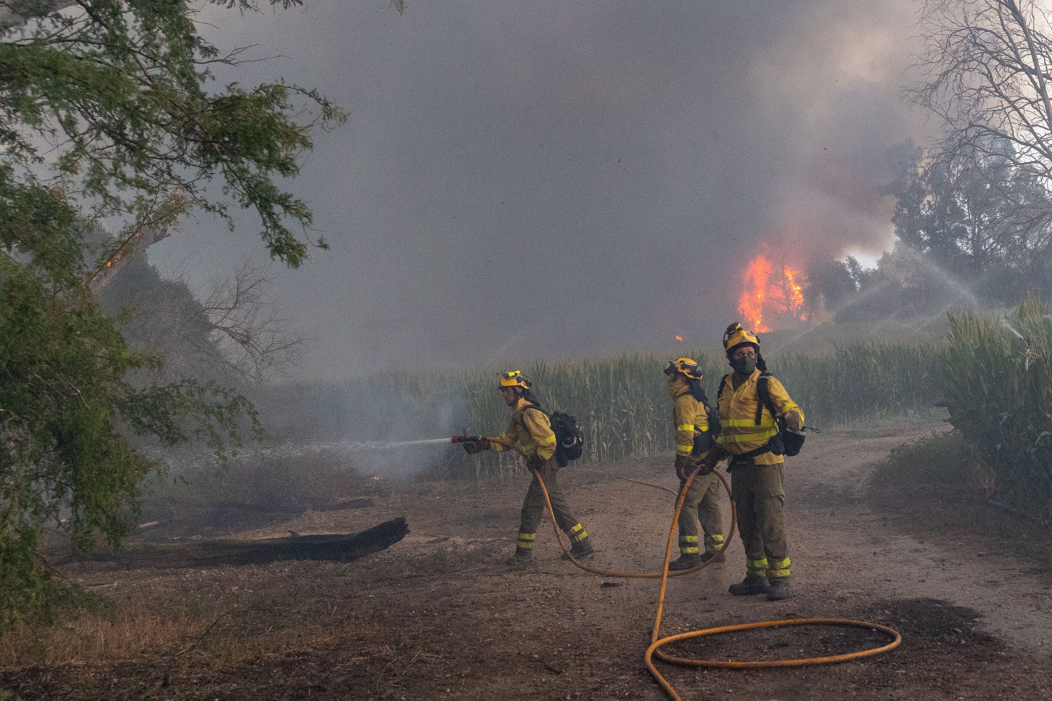 Bomberos del Plan Infoca, en acción. 