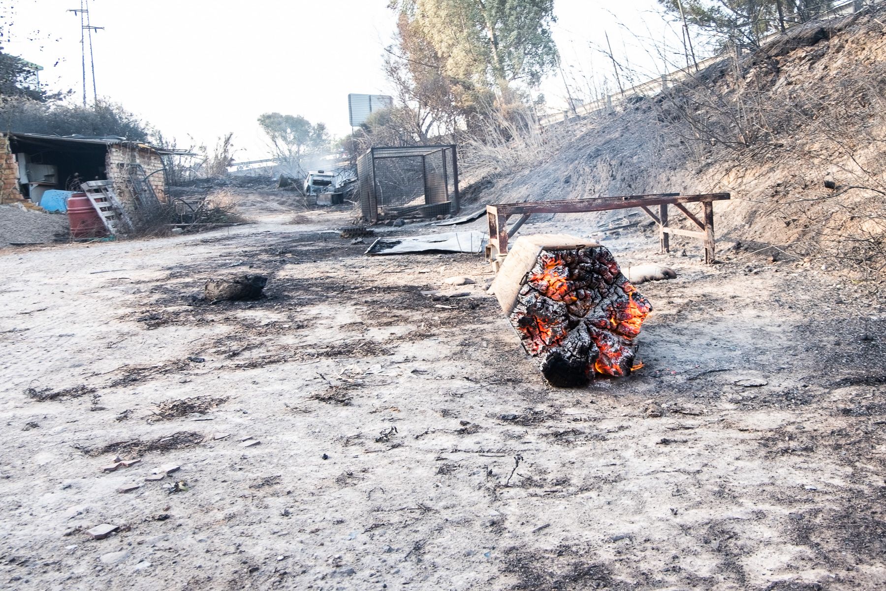 El incendio de Lomopardo y La Cartuja ha arrasado con todo a su paso. El incendio de Lomopardo y La Cartuja ha arrasado con todo a su paso.