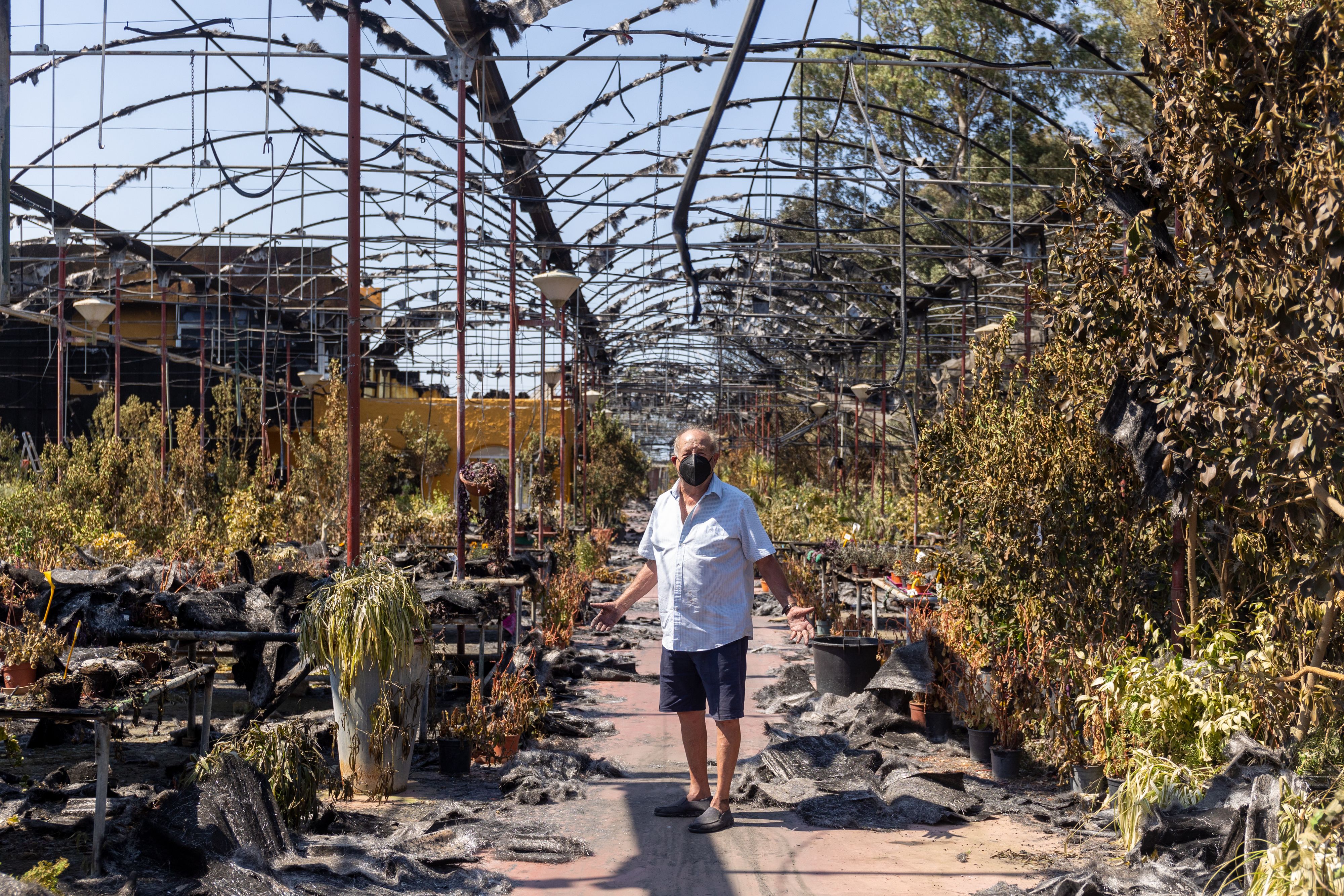 Manuel Olmedo, dueño del vivero, entre los restos de las instalaciones junto a la Cartuja de Jerez, semidestruidas, con plantas que han resistido el fuego. Manuel Olmedo, dueño del vivero, entre los restos de las instalaciones junto a la Cartuja de Jerez, semidestruidas, con plantas que han resistido el fuego.