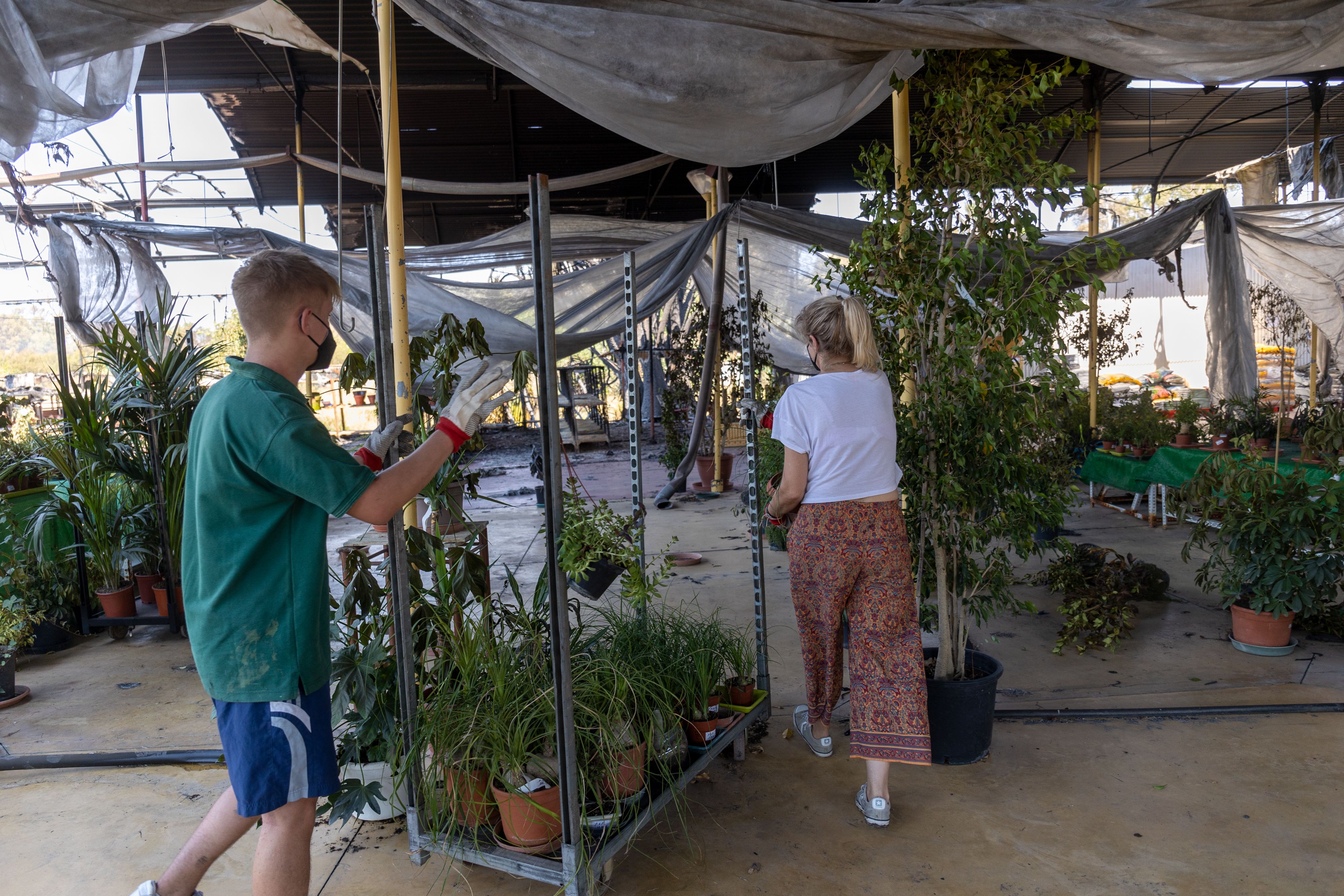 incencio vivero olmedo106