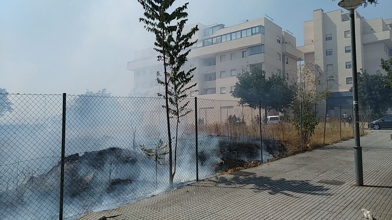 Pastos incendiados en la avenida 'del Colesterol', muy cerca de las viviendas. MANU GARCÍA Pastos incendiados en la avenida 'del Colesterol', muy cerca de las viviendas. MANU GARCÍA