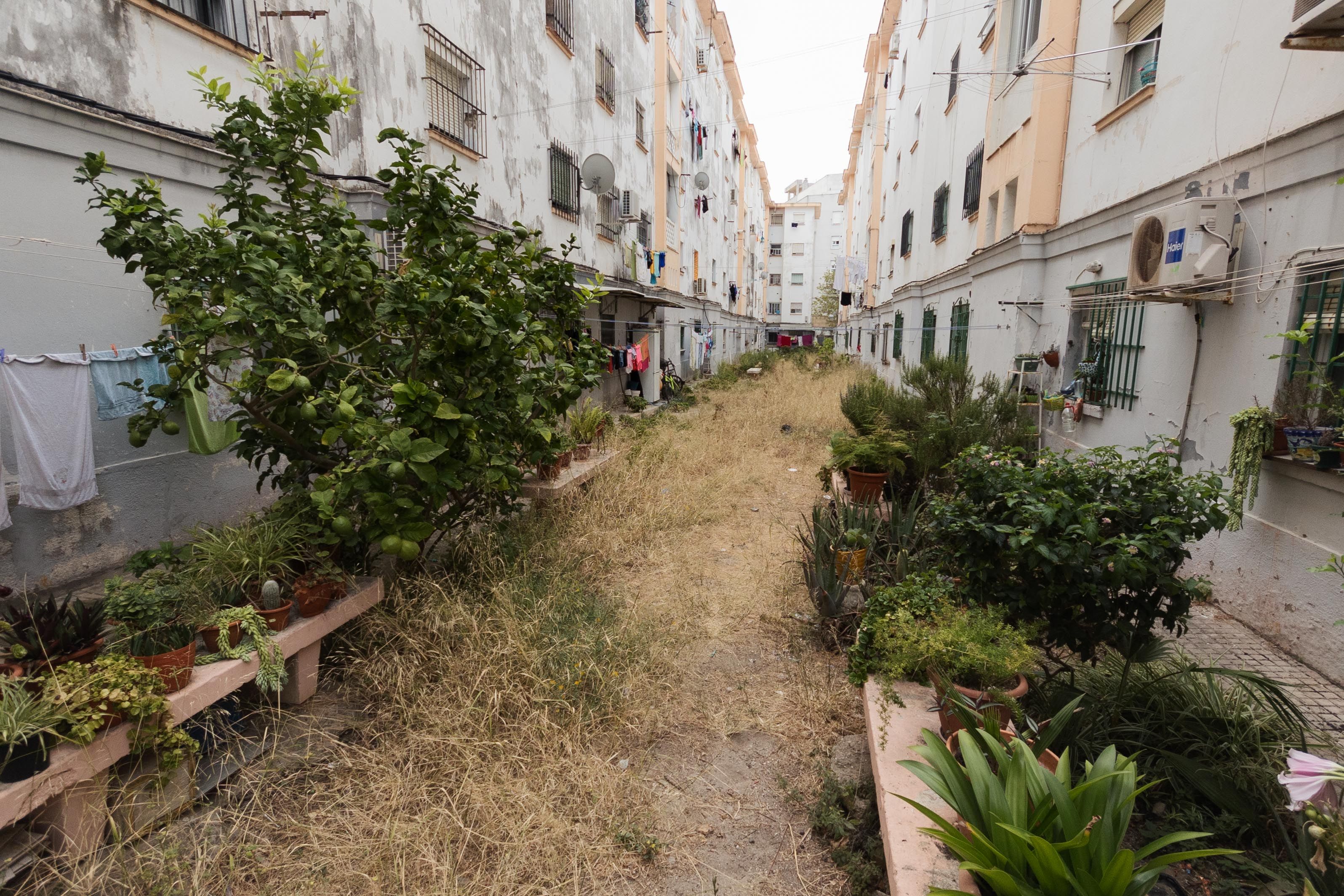 BARRIO CERRO DEL MORO 5