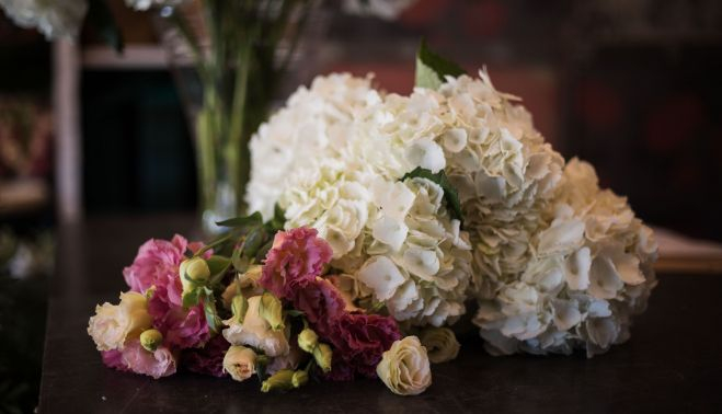 FLORISTERIA ENEA 11