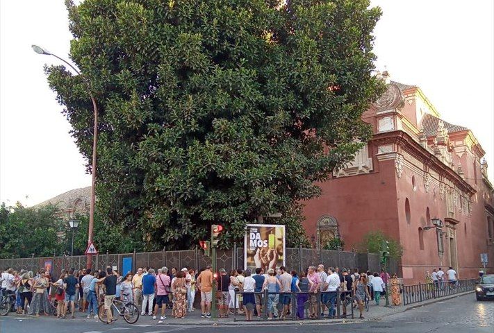 El ficus de San Jacinto, en Sevilla, en una imagen reciente. El ficus de San Jacinto, en Sevilla, en una imagen reciente.