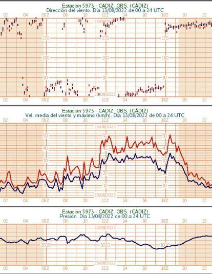 grafico 2