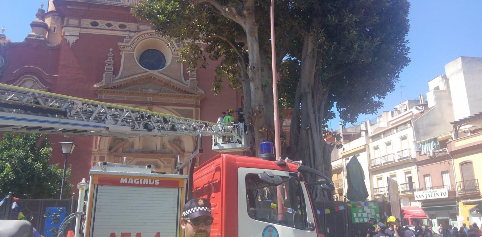 Bomberos bajando a los activistas del ficus de Triana. Bomberos bajando a los activistas del ficus de Triana.