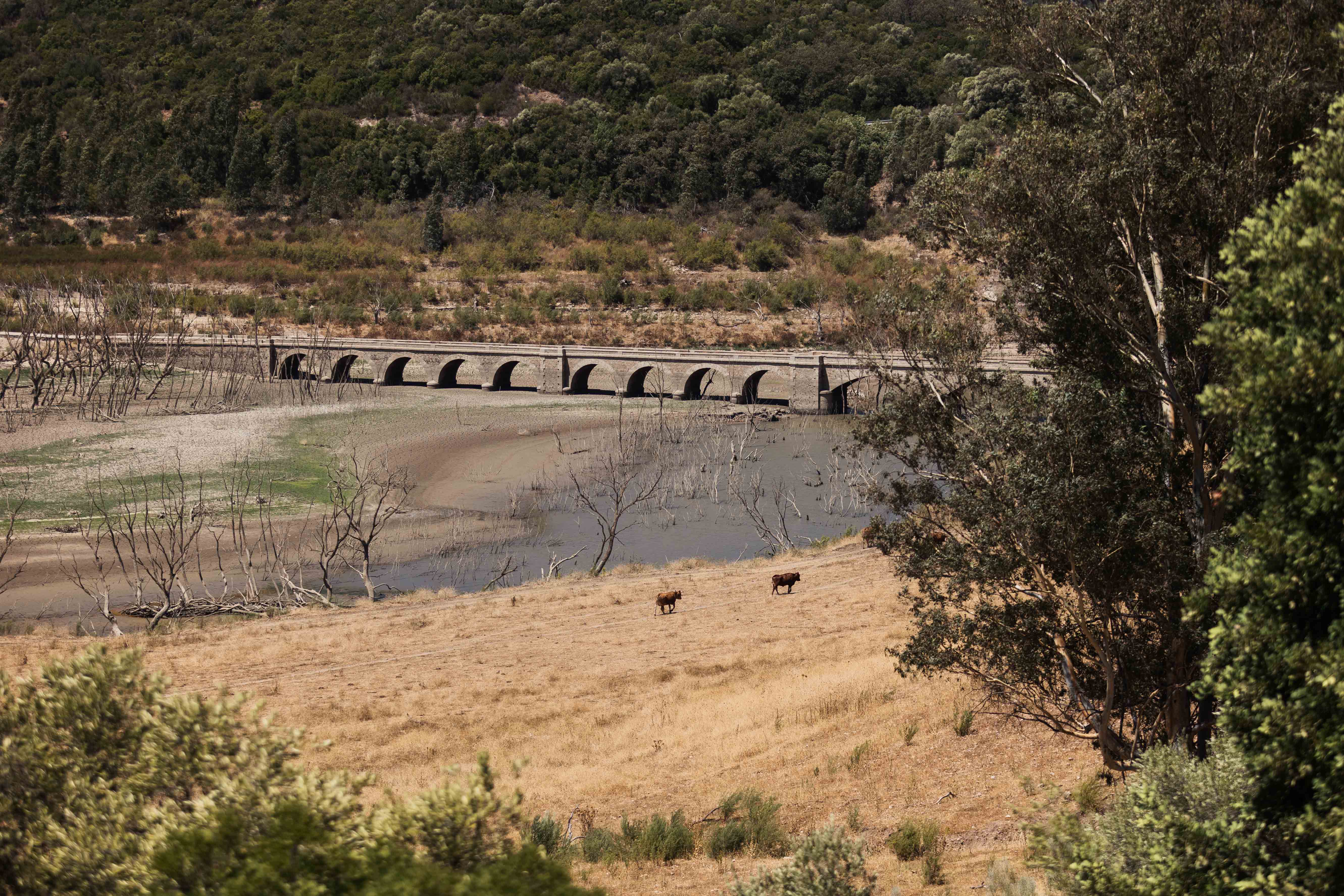 El embalse gaditano Guadalcacín II uno de los más afectados por la sequía. El embalse gaditano Guadalcacín II uno de los más afectados por la sequía.