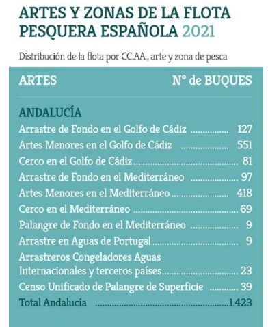 Cuadro zonas