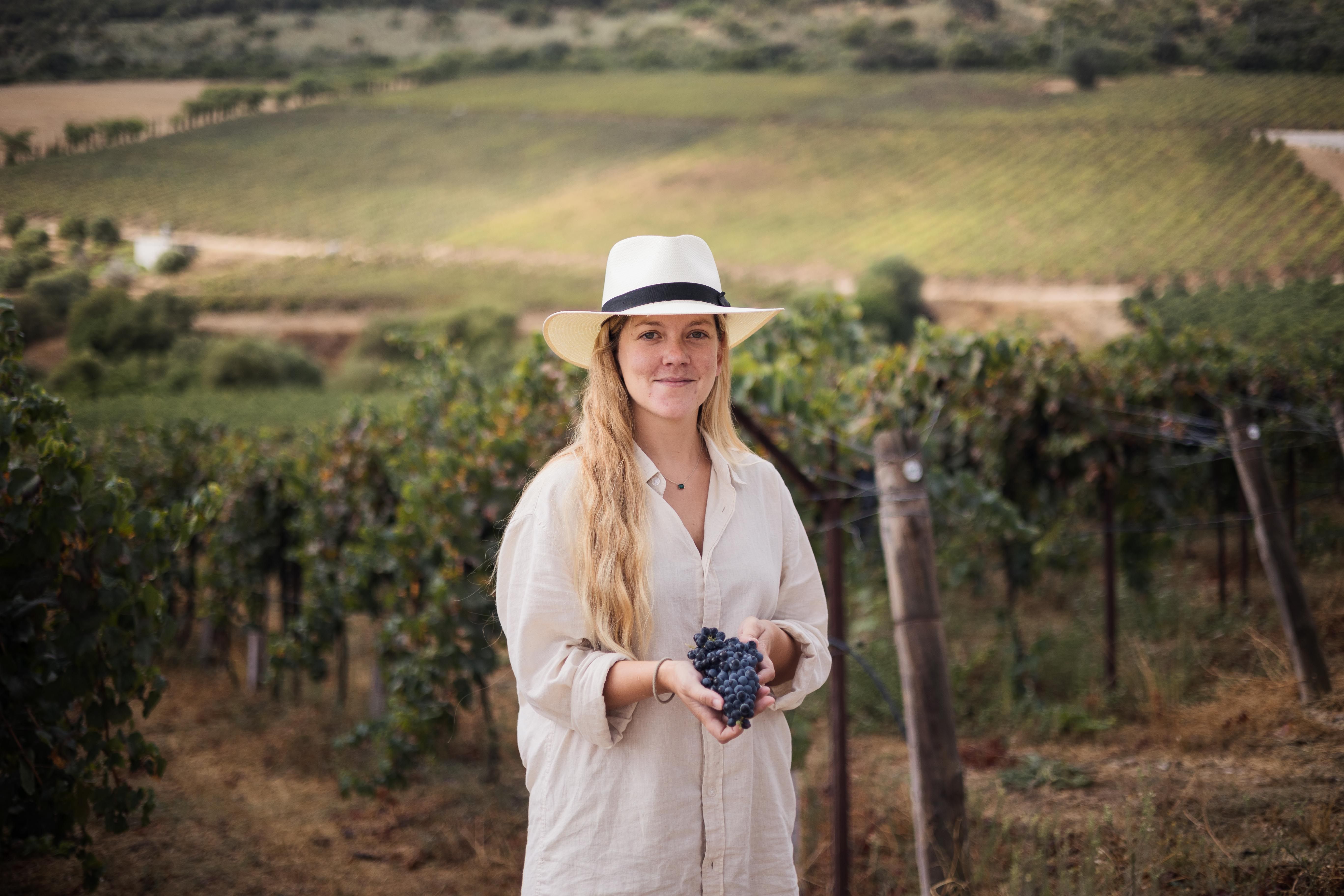 BODEGA TESALIA 12