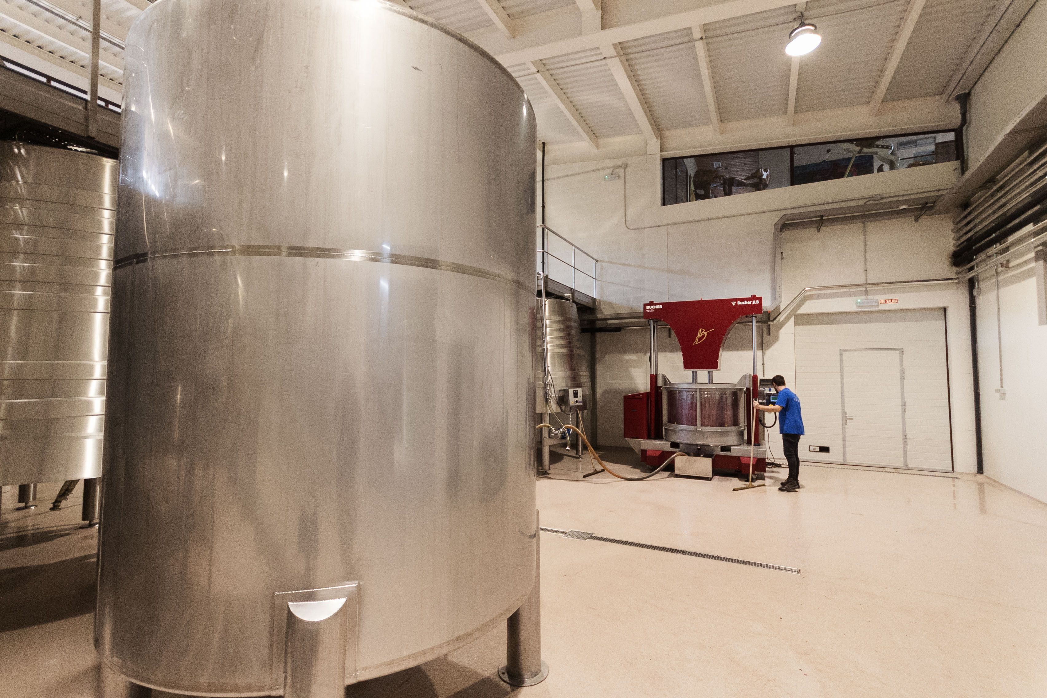 BODEGA TESALIA 14