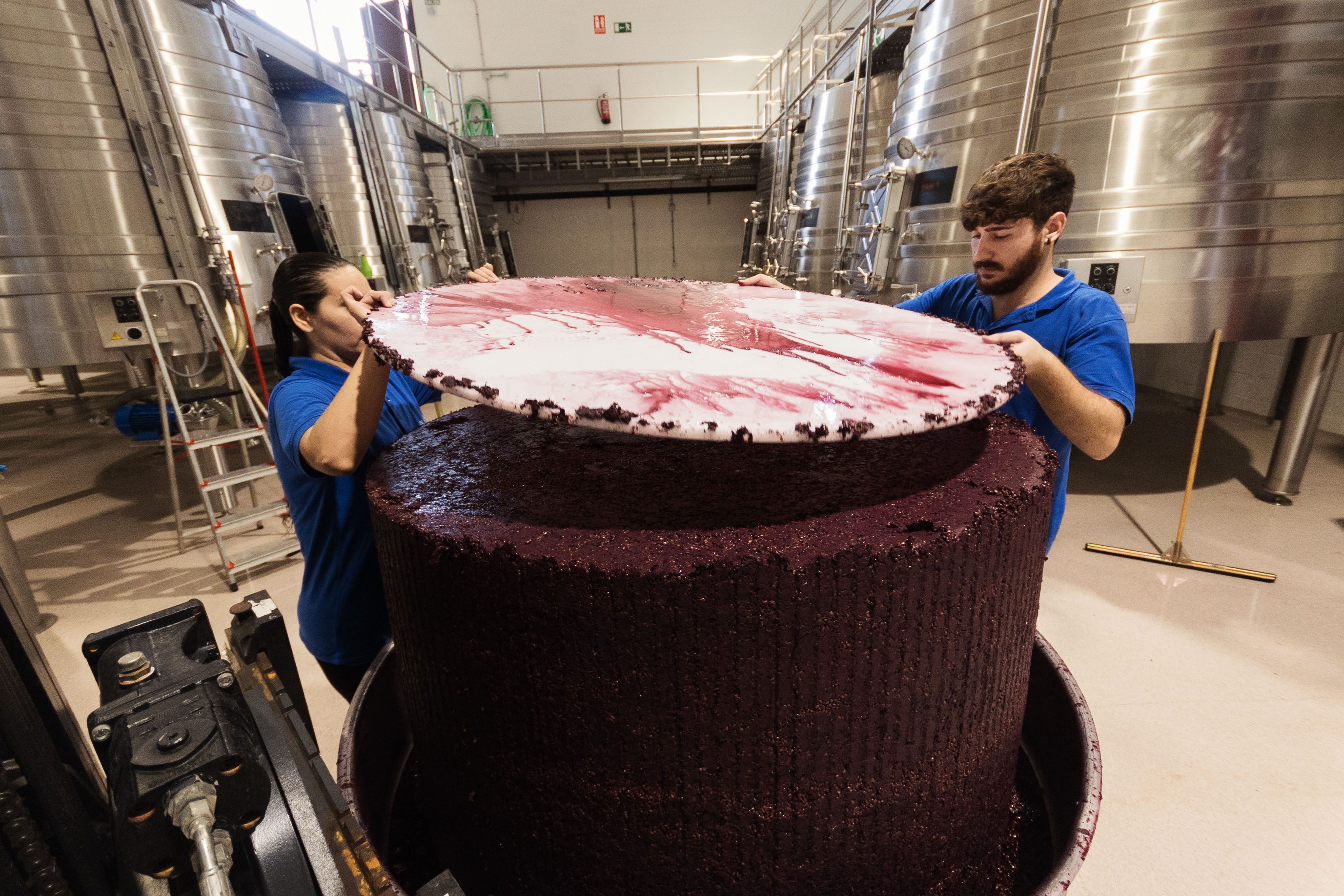 BODEGA TESALIA 19