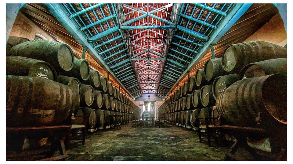 Casco bodeguero central de la Bodega San Miguel, de Bodegas Barrero.
