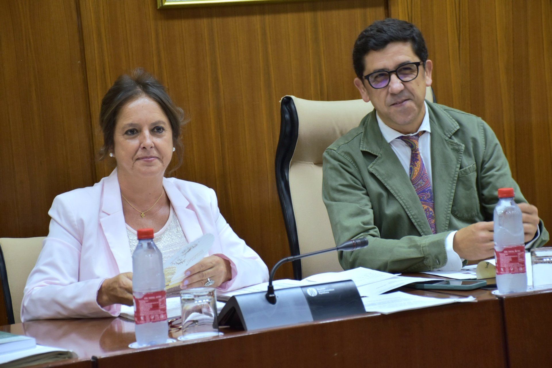 La consejera Catalina García, responsable del SAS, en comisión parlamentaria este miércoles. La consejera Catalina García, responsable del SAS, en comisión parlamentaria este miércoles.