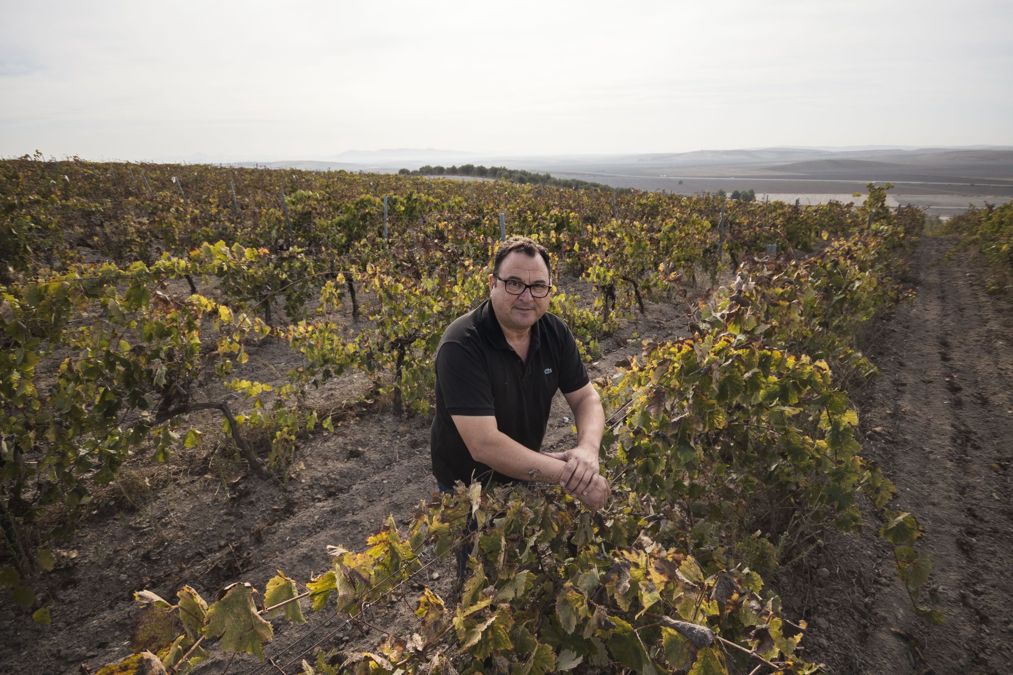 GONZALEZ PALACIOS BODEGA LEBRIJA 16