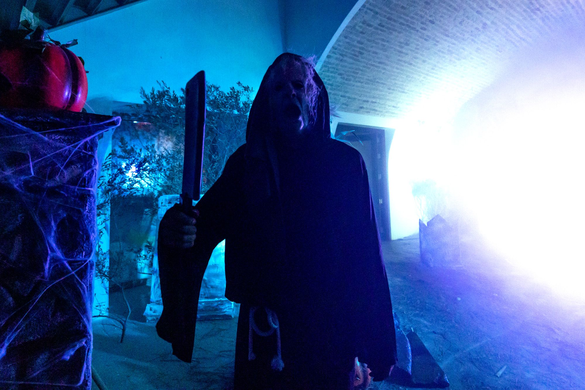 Halloween y Tosantos en Cádiz 19