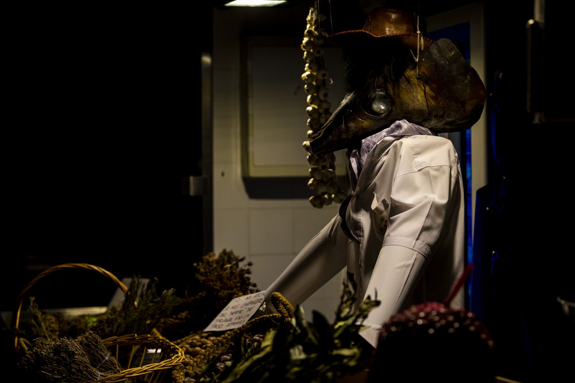 Halloween y Tosantos en Cádiz 29