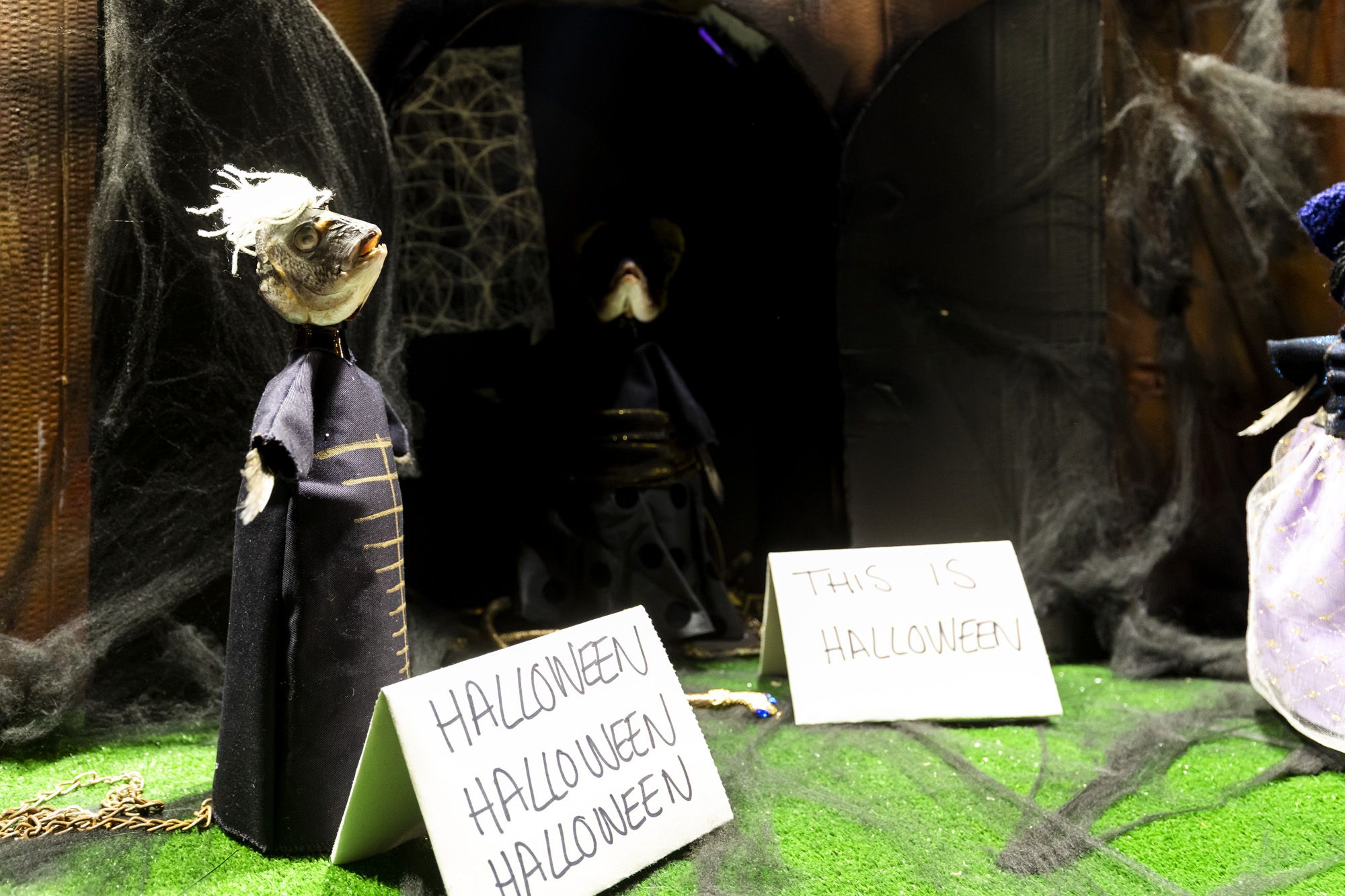 Halloween y Tosantos en Cádiz 31