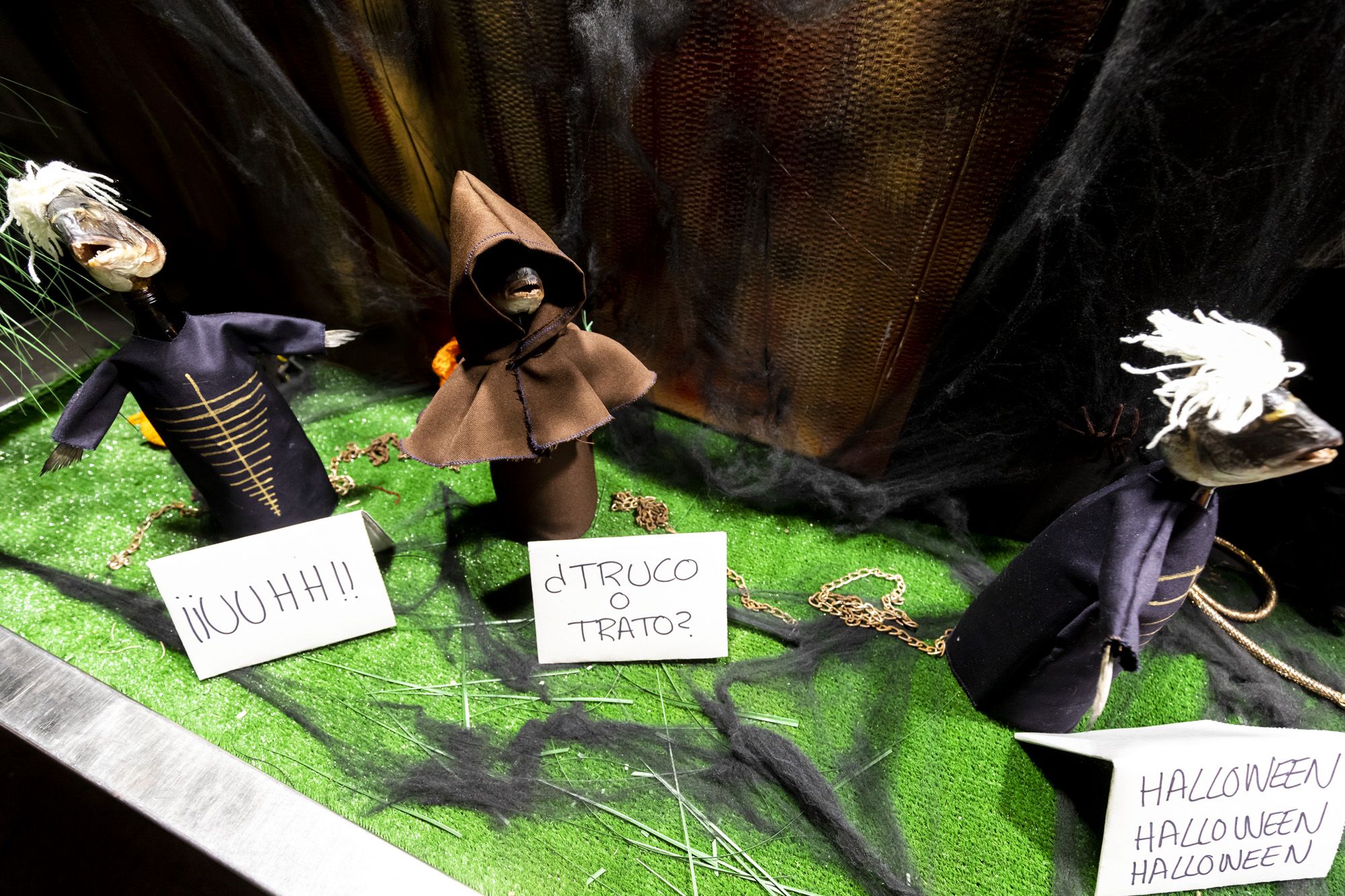 Halloween y Tosantos en Cádiz 32